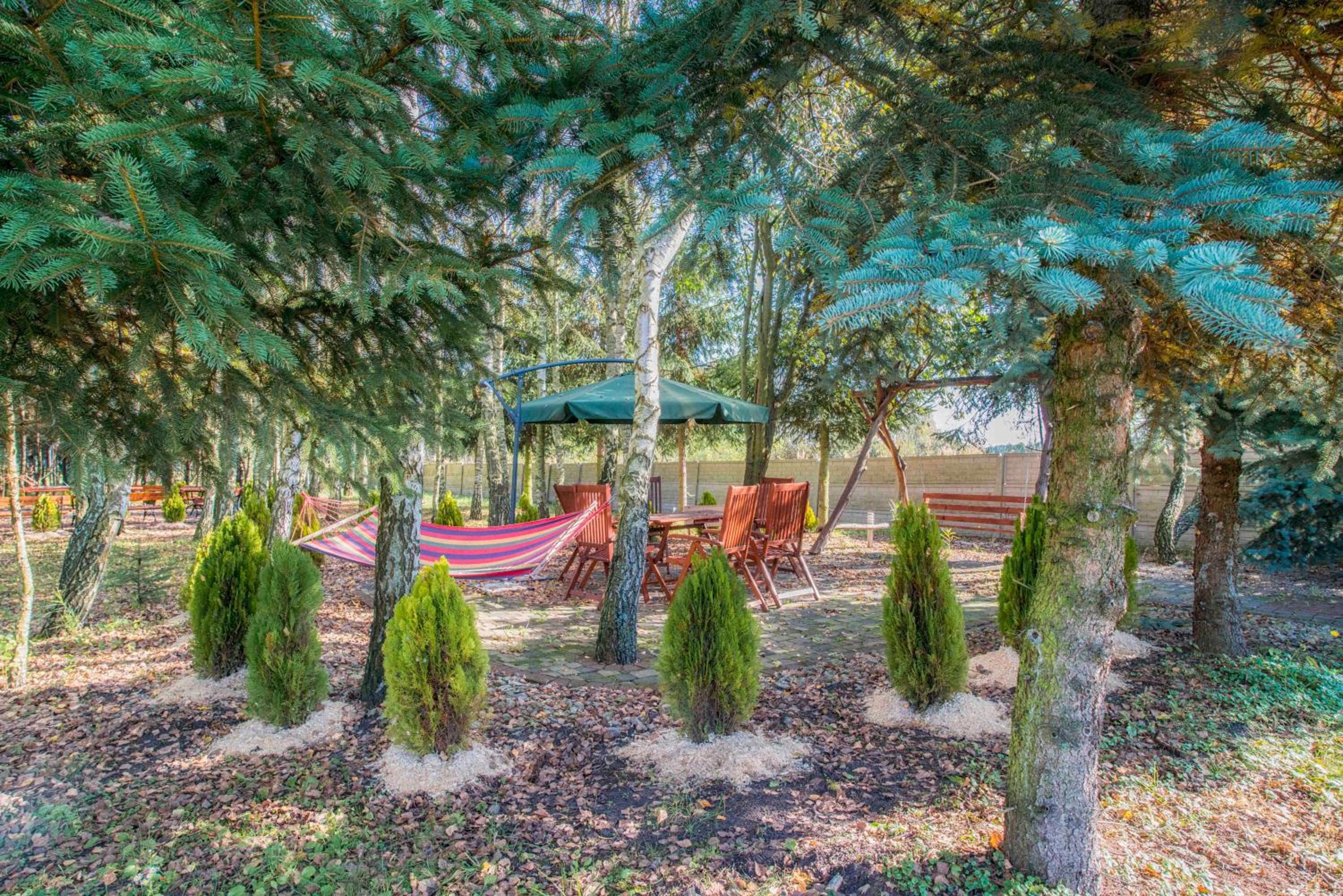 children's play area