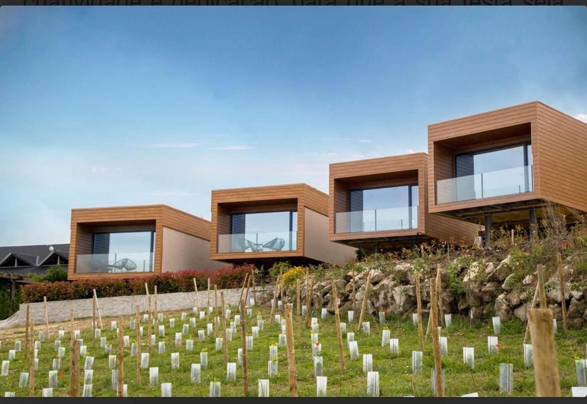 Hotel Paraíso Douro AL - Image 1