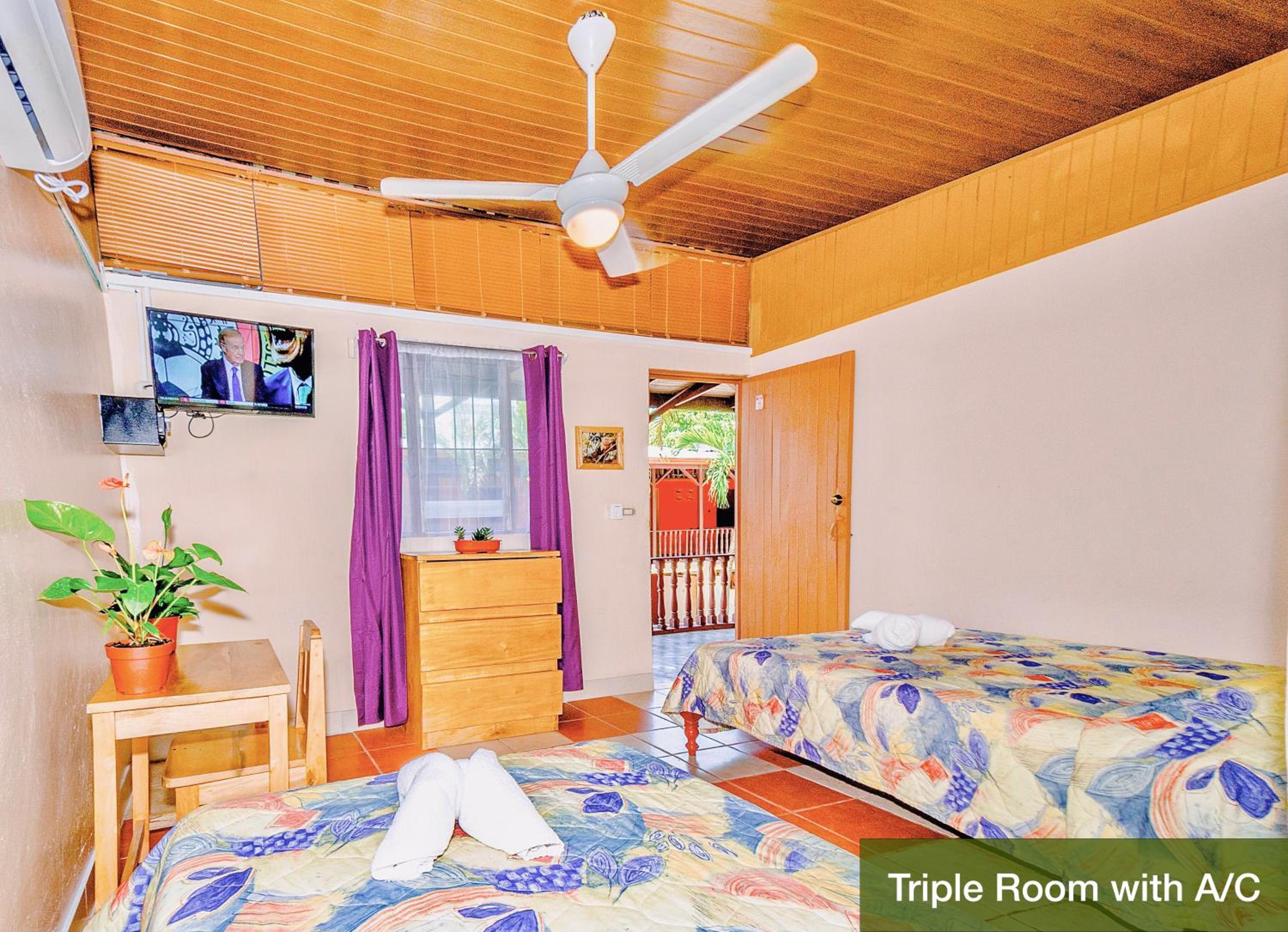 Guanacaste - Costa Rica Vacations - Blue Iguana - Property Image 3