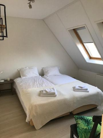 Hart van Lochem, photo 34