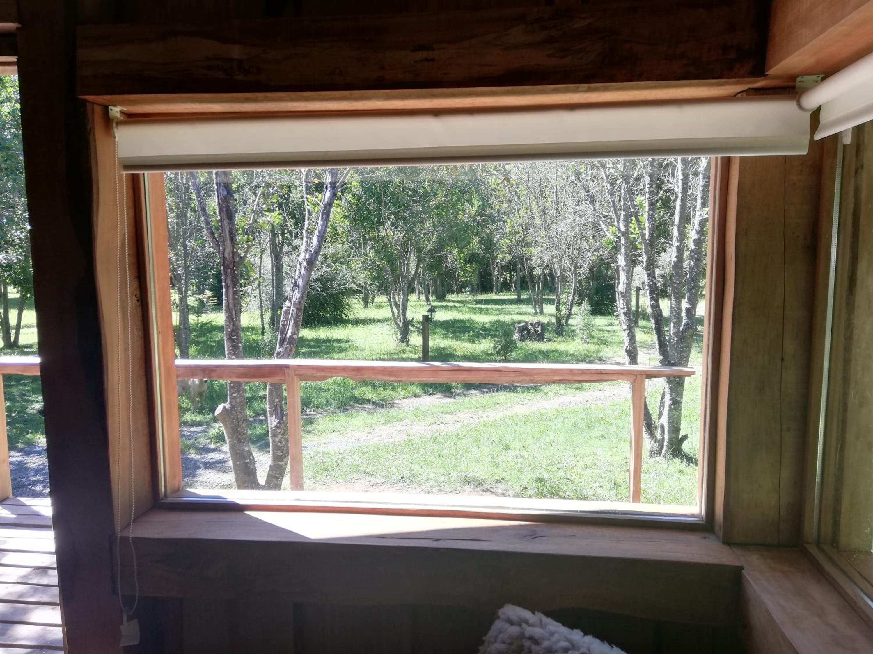 Wonderful rustic cabin 2, with native logs, on the banks of the Trancura River