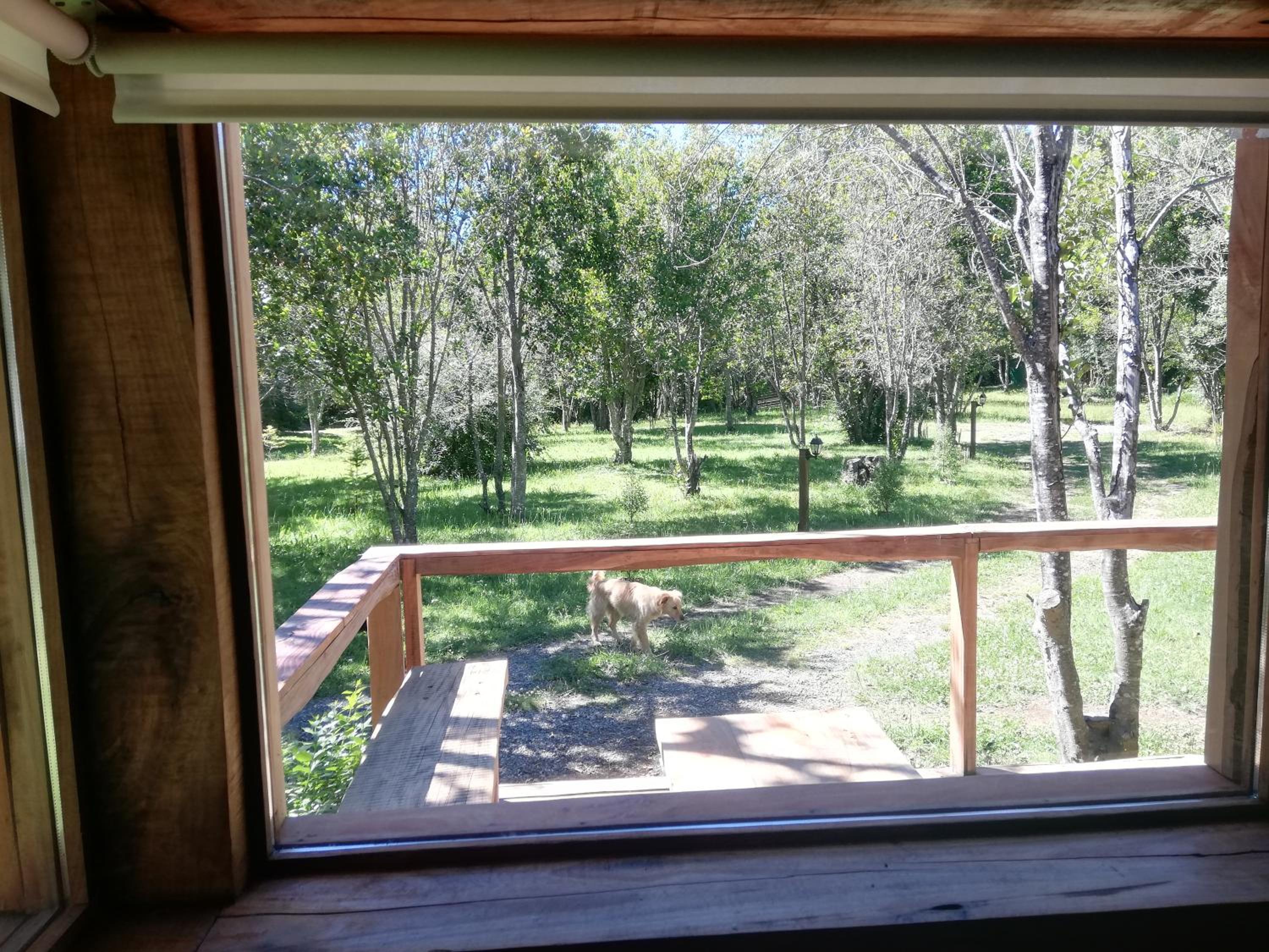 Wonderful rustic cabin 2, with native logs, on the banks of the Trancura River