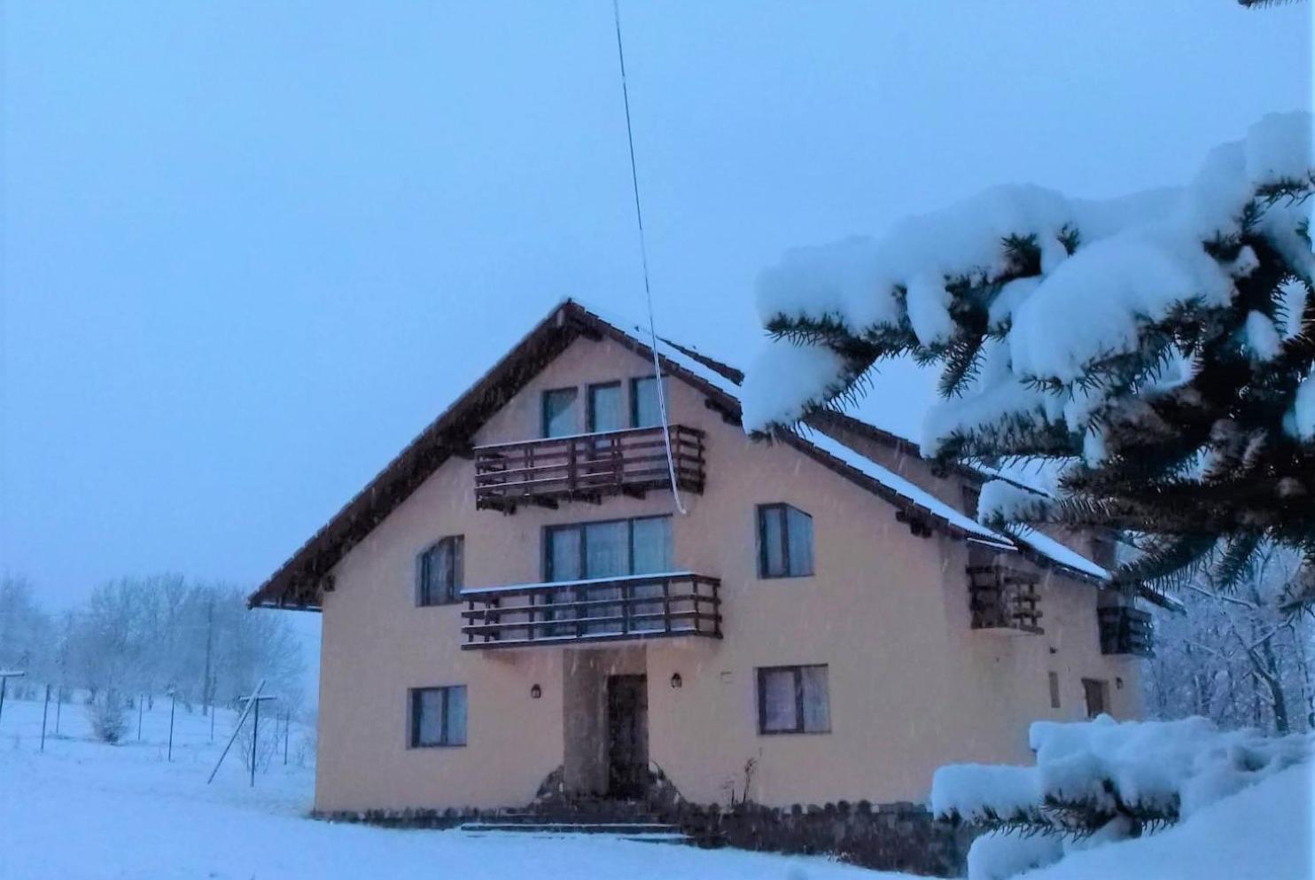 Photo 41