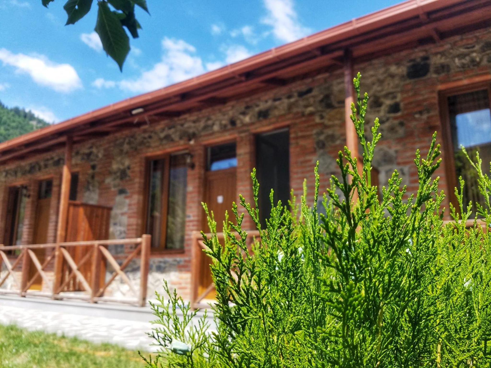 Borjomi Cottages view 3