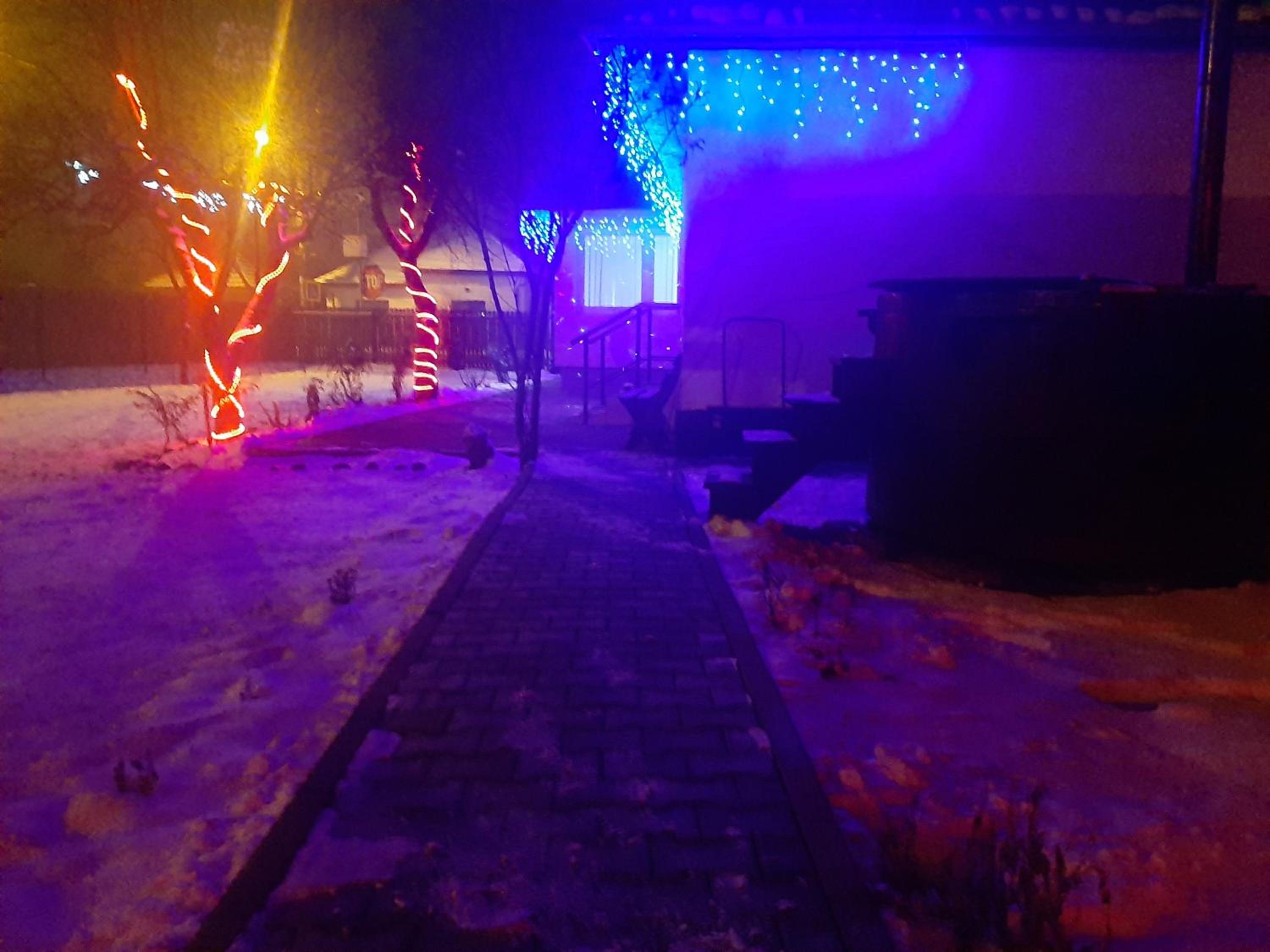 Photo 22
