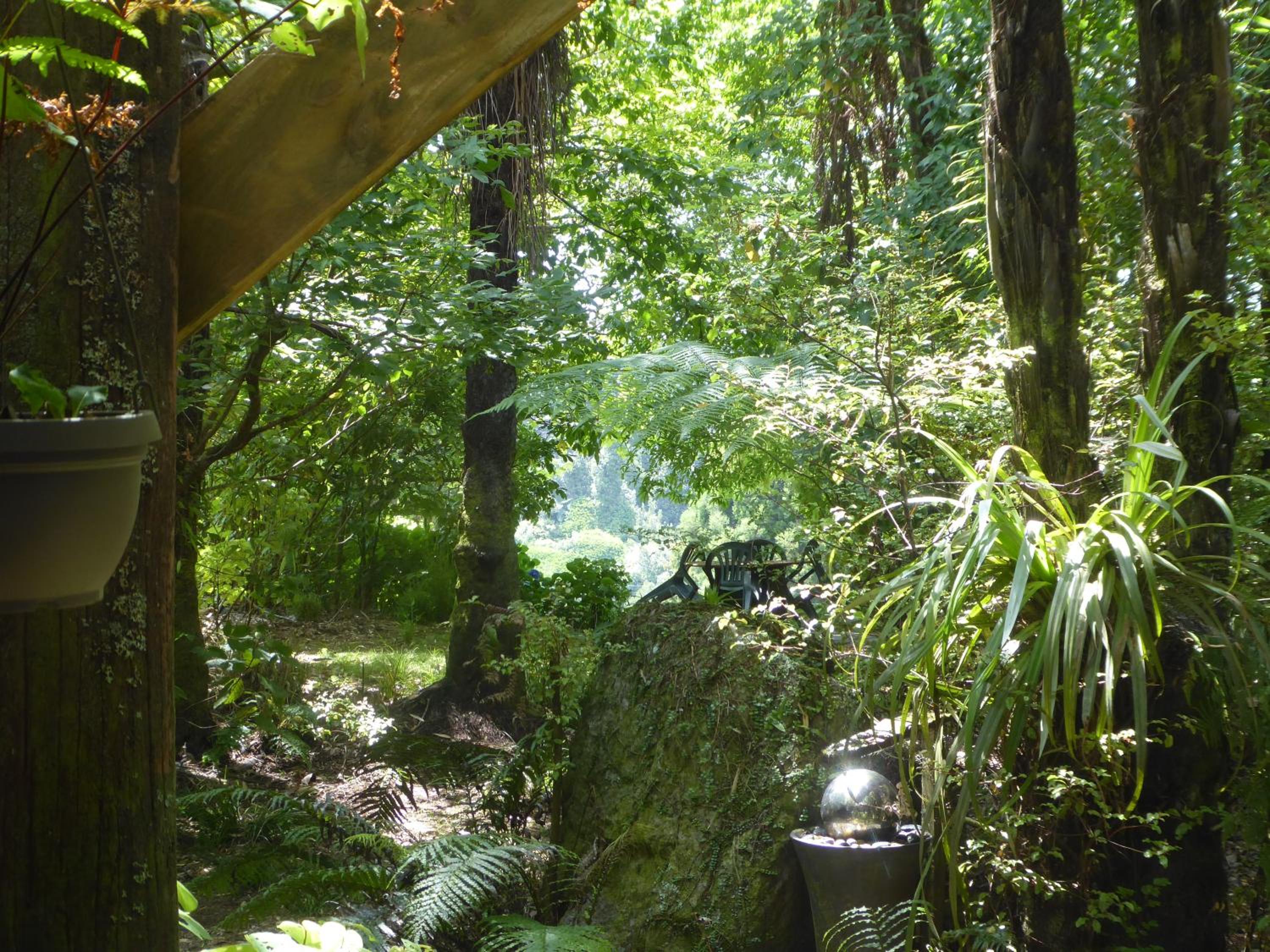 Mount Tutu Eco-Sanctuary view 4