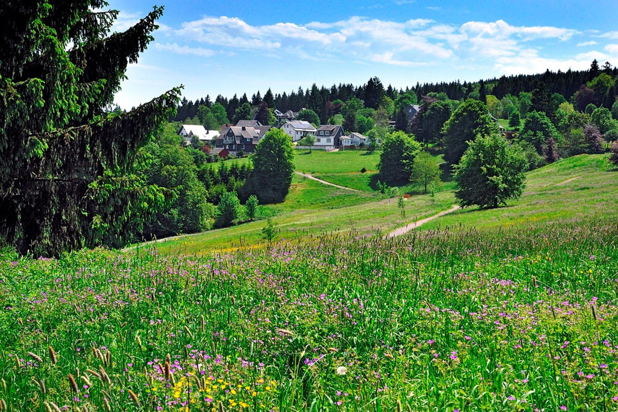 Ferienhaus Wurzelbergblick