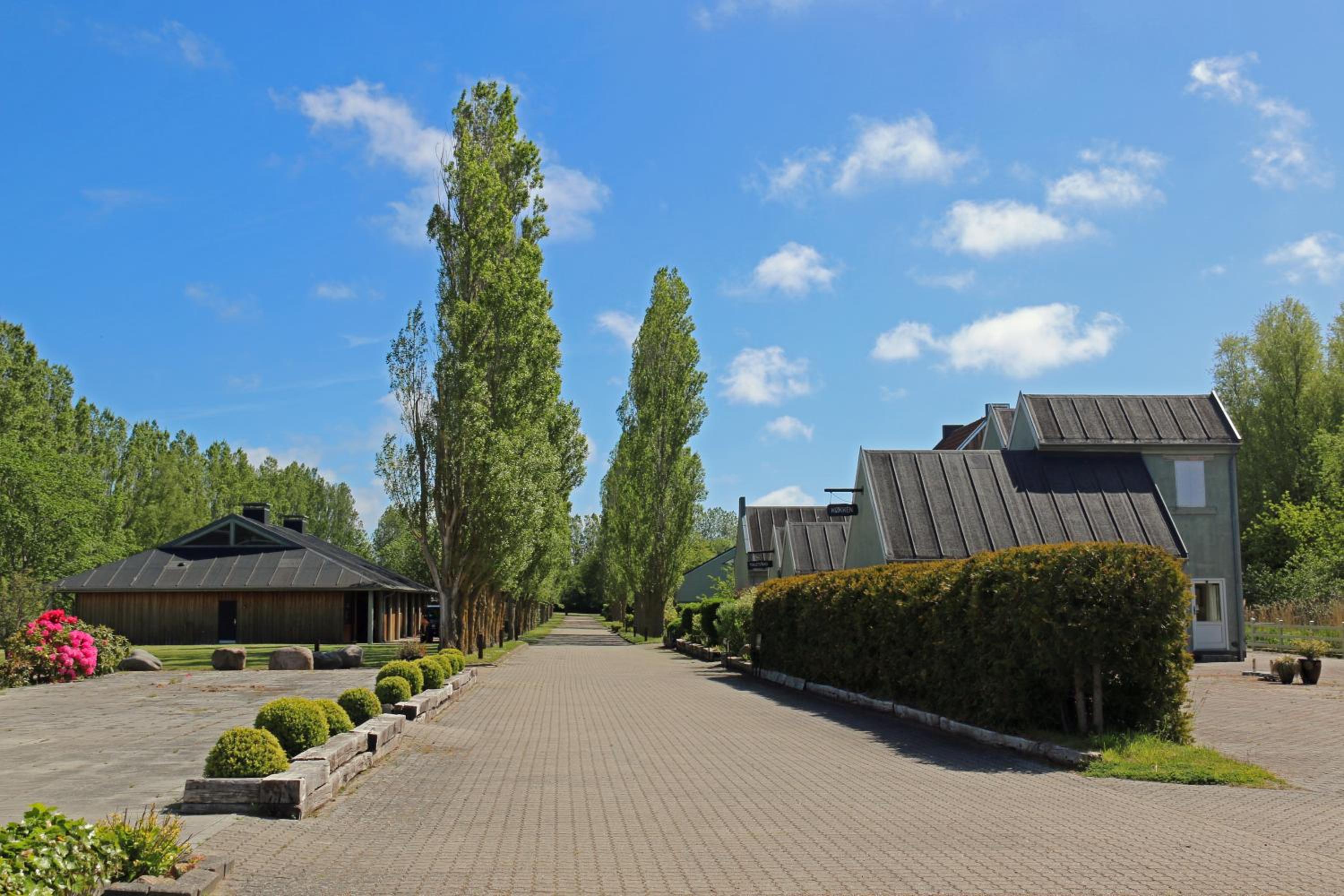 Nordic Park view 5