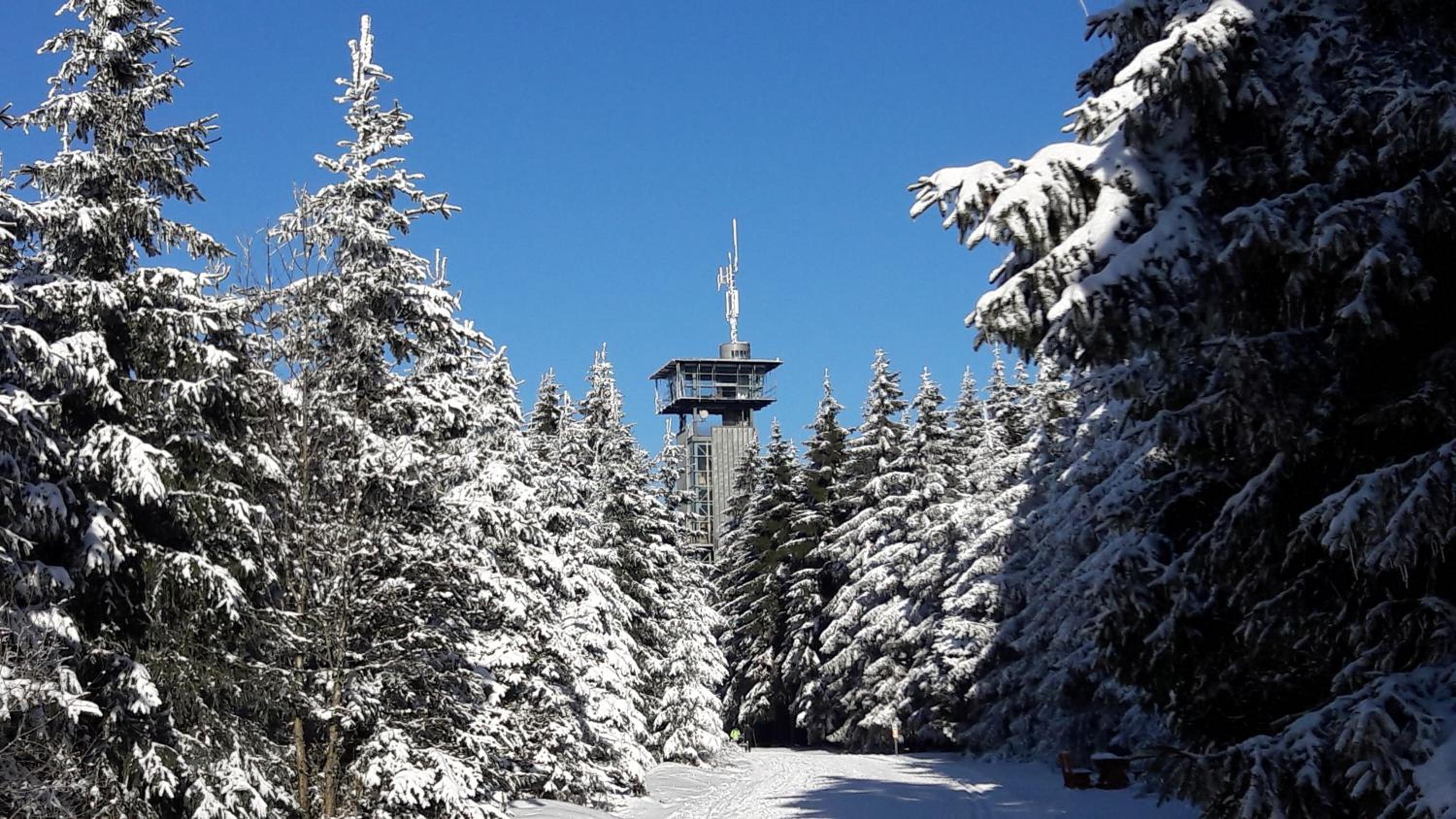 Panoramaferienwohnung Bergwiese