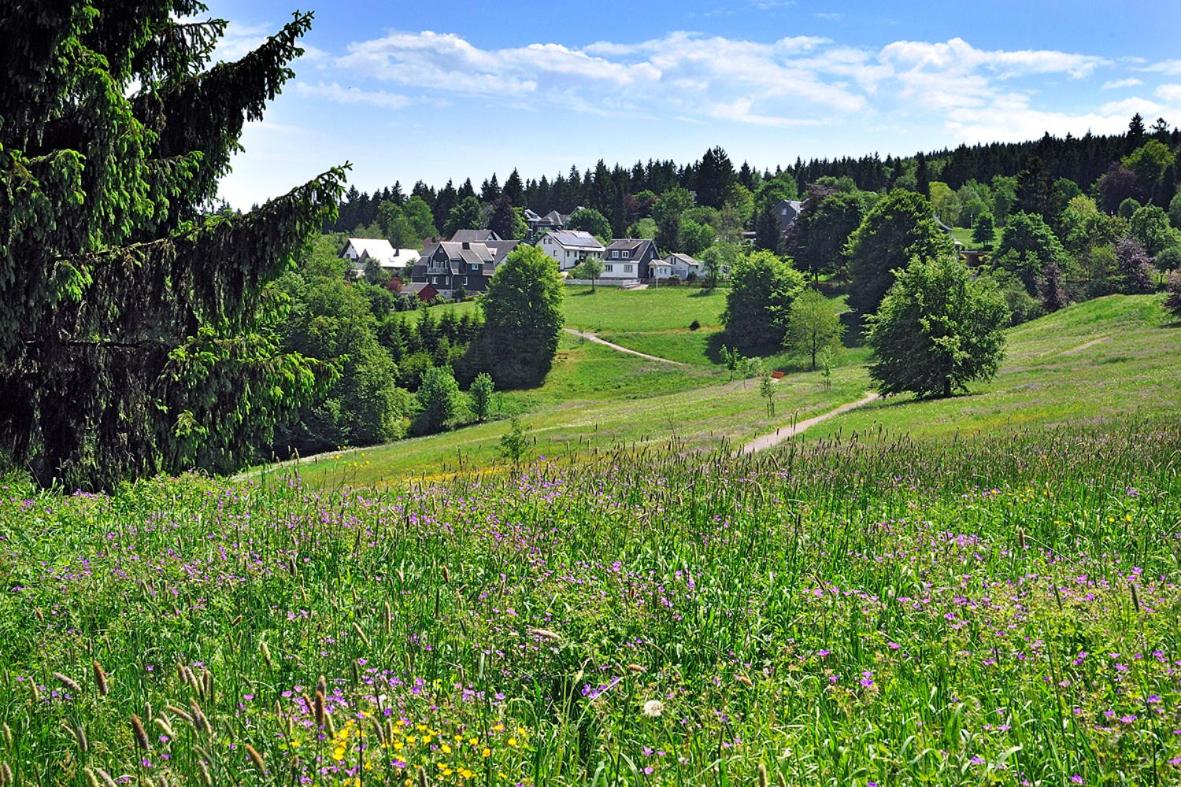 Panoramaferienwohnung Bergwiese