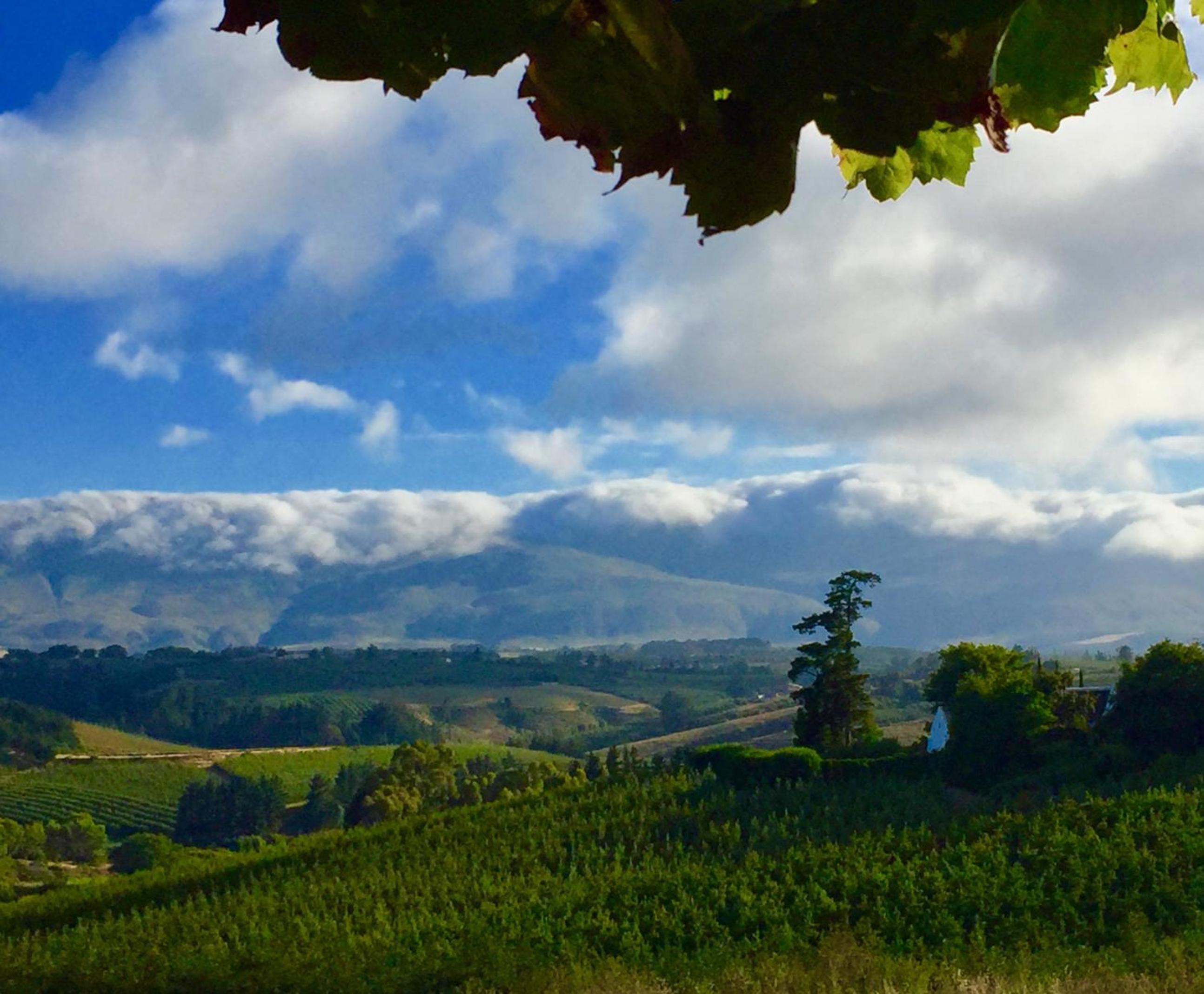 Cheverells Farm, Kiku & Braeburn Cottage view 4