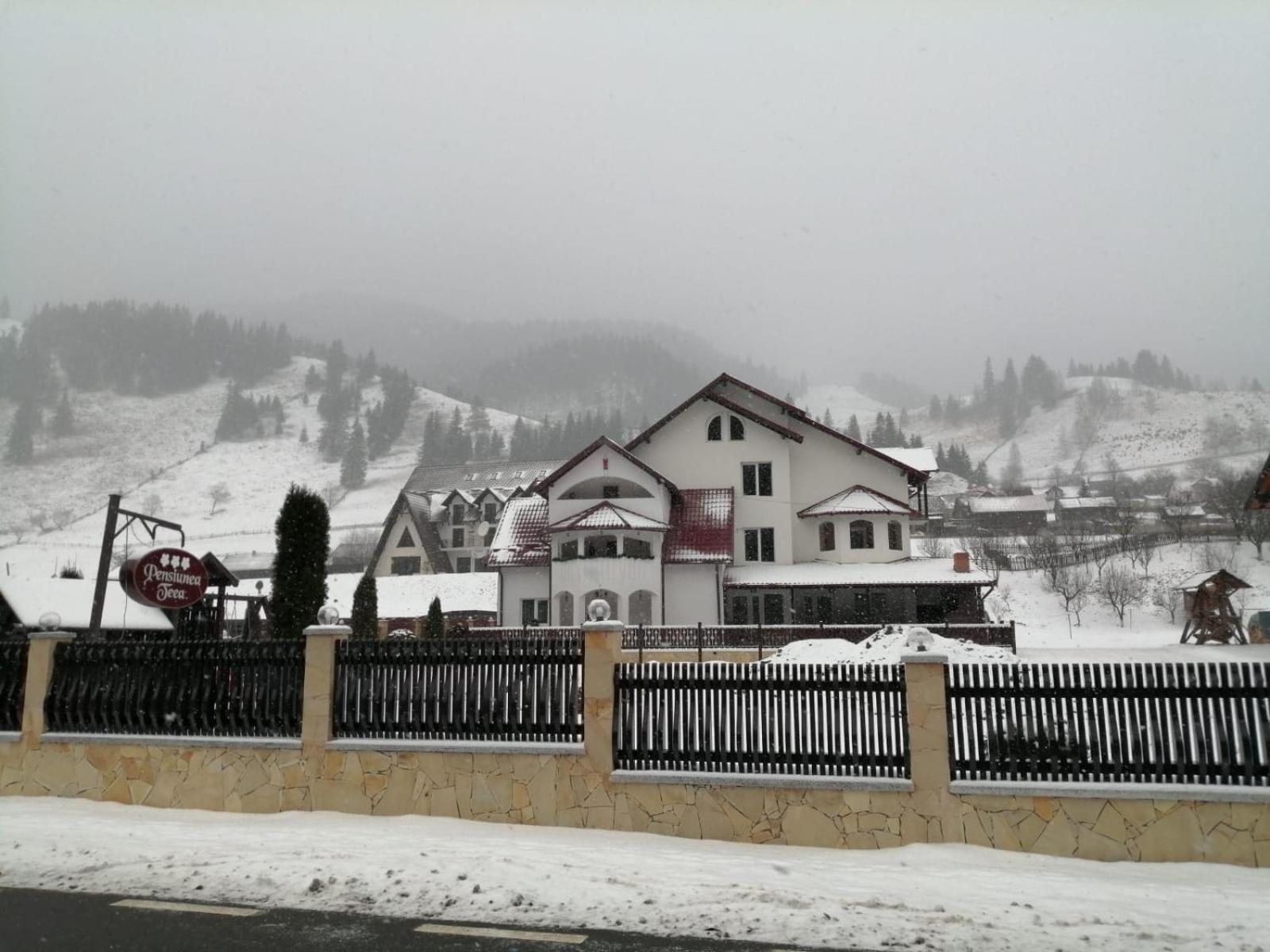 Photo 48