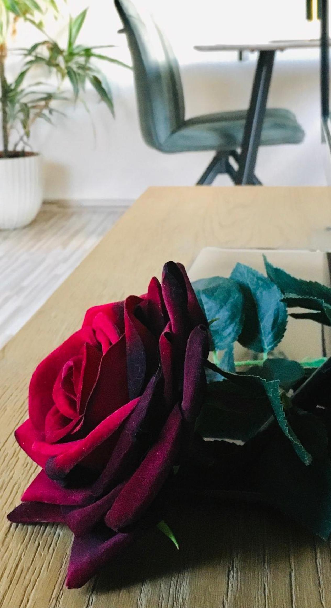 Haus Rose view 4