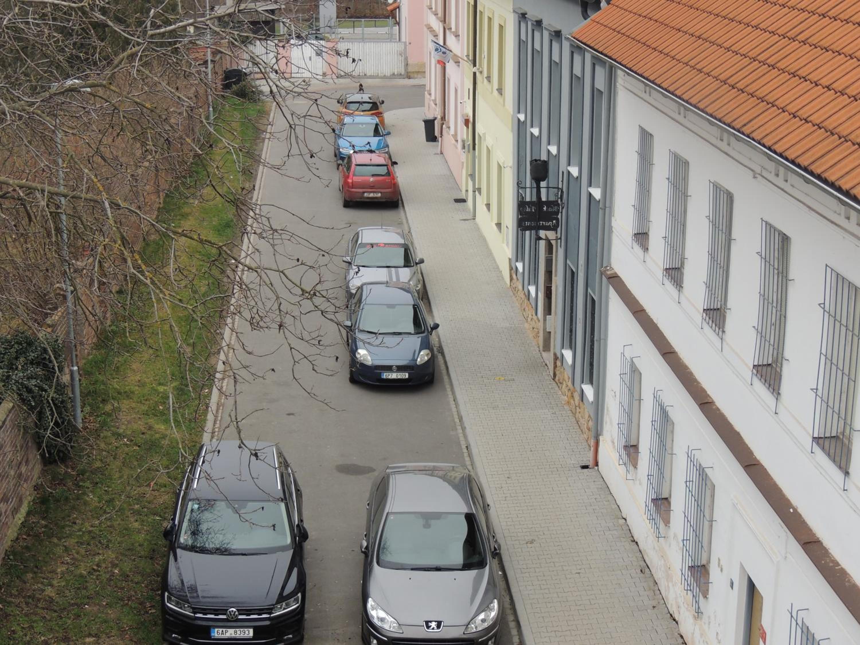 Černý Tulipán - Apartmán 3 view 5