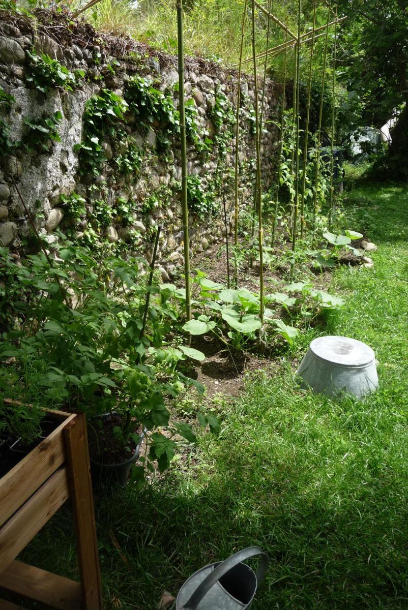 Photo 26