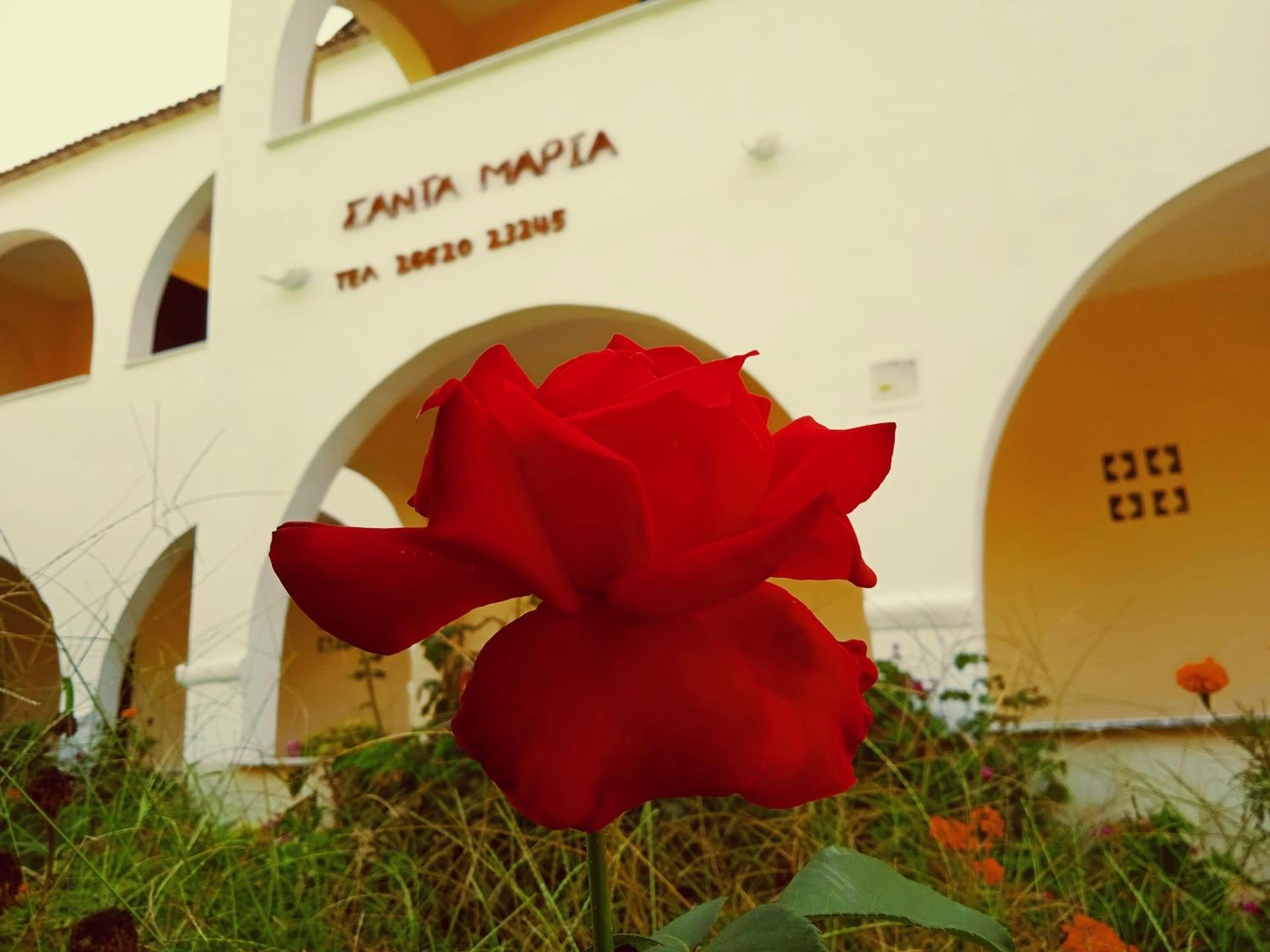 Santa Maria view 2