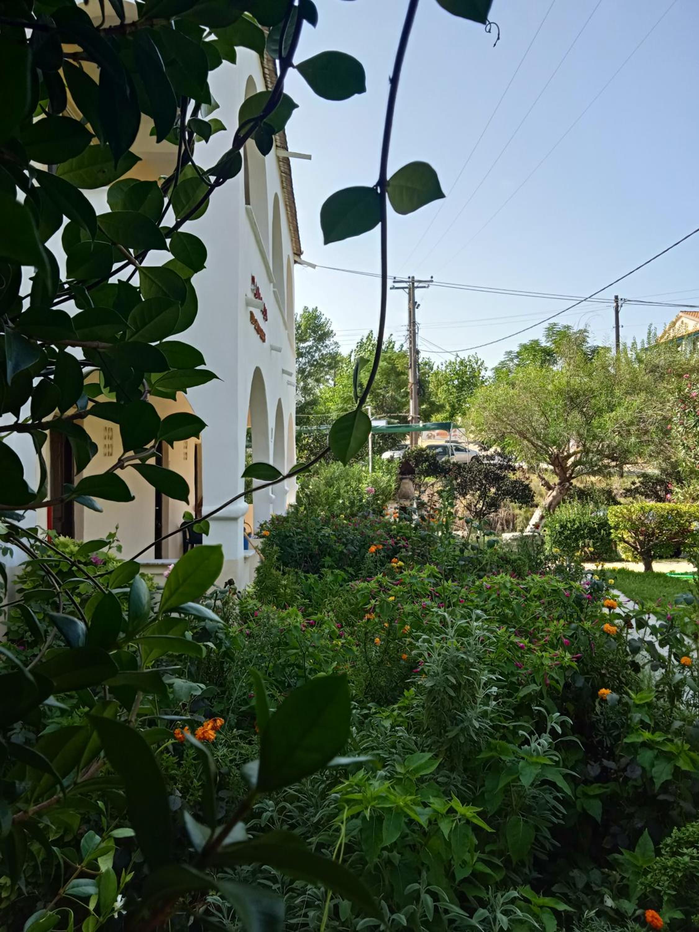 Photo 38