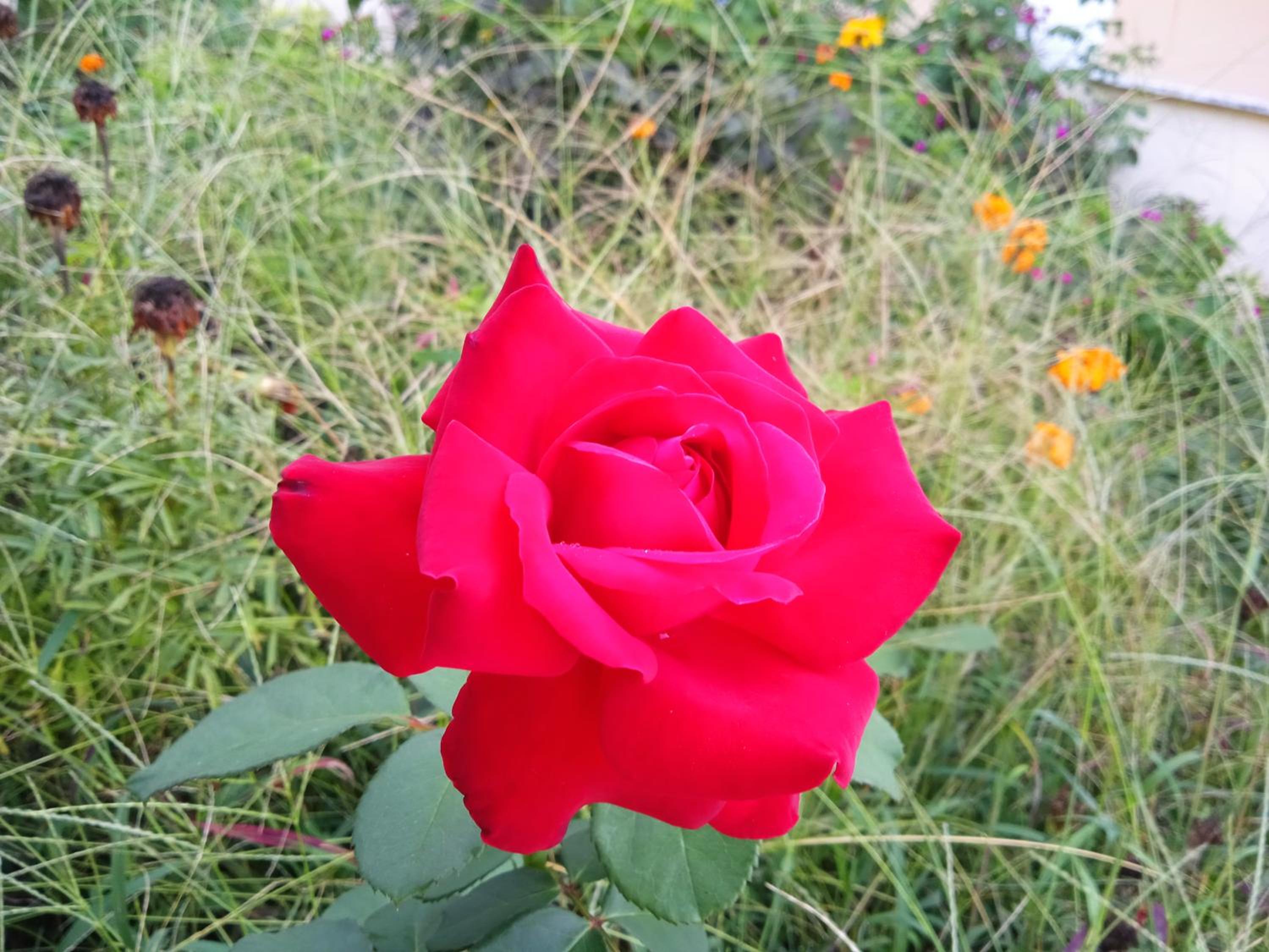 Photo 40