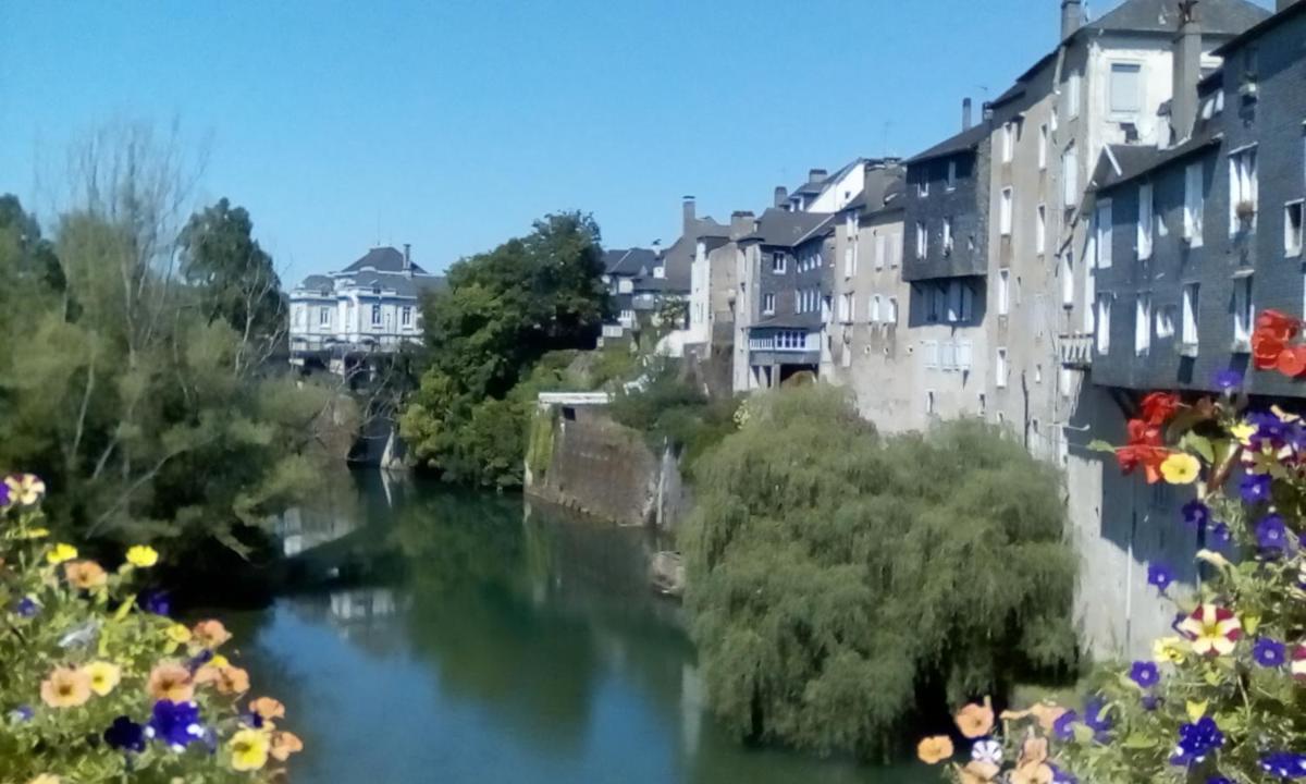 Photo 43