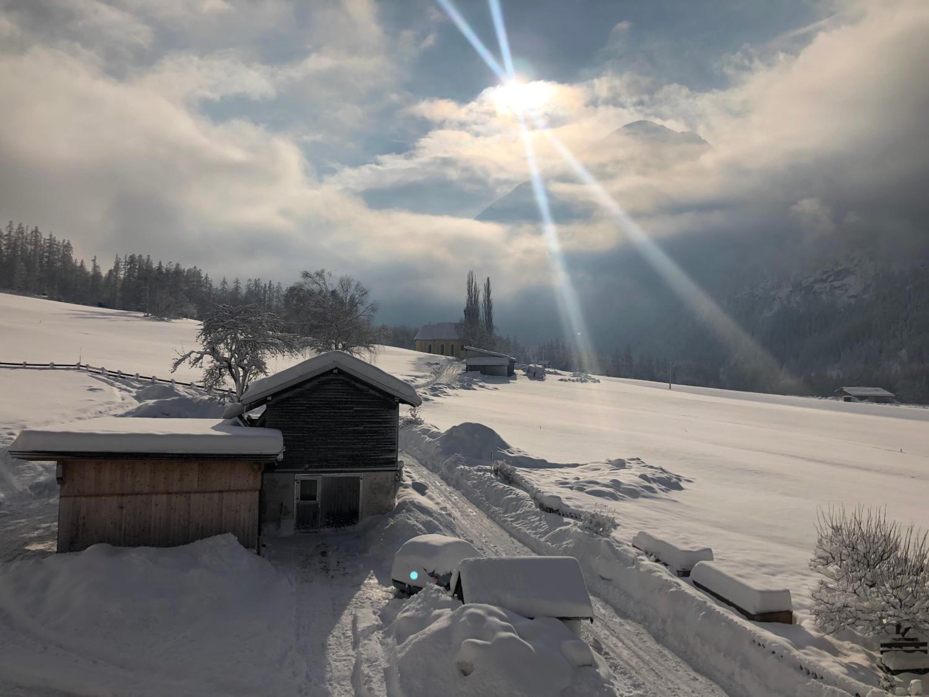 Alps 3000-2