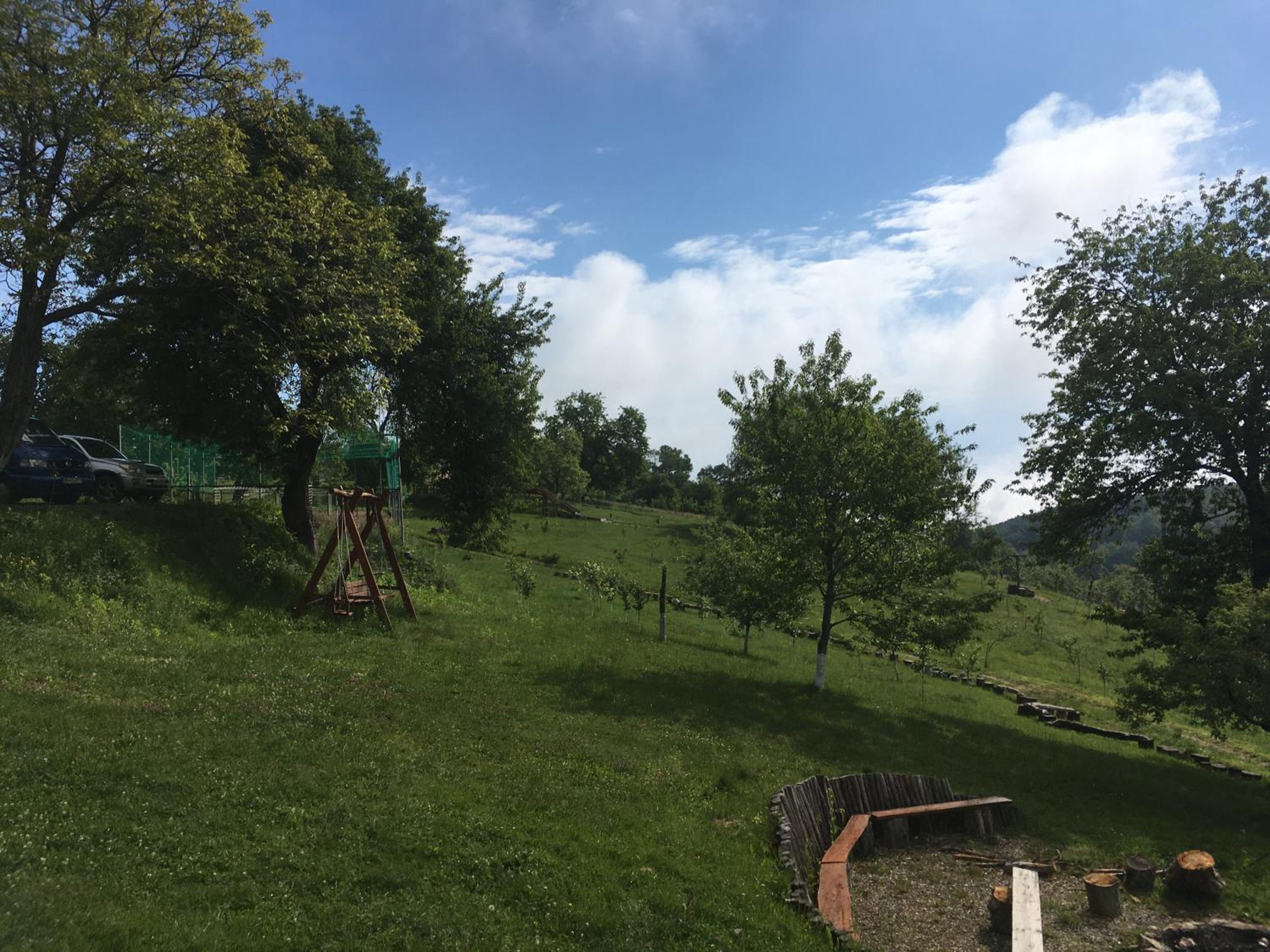 Photo 18