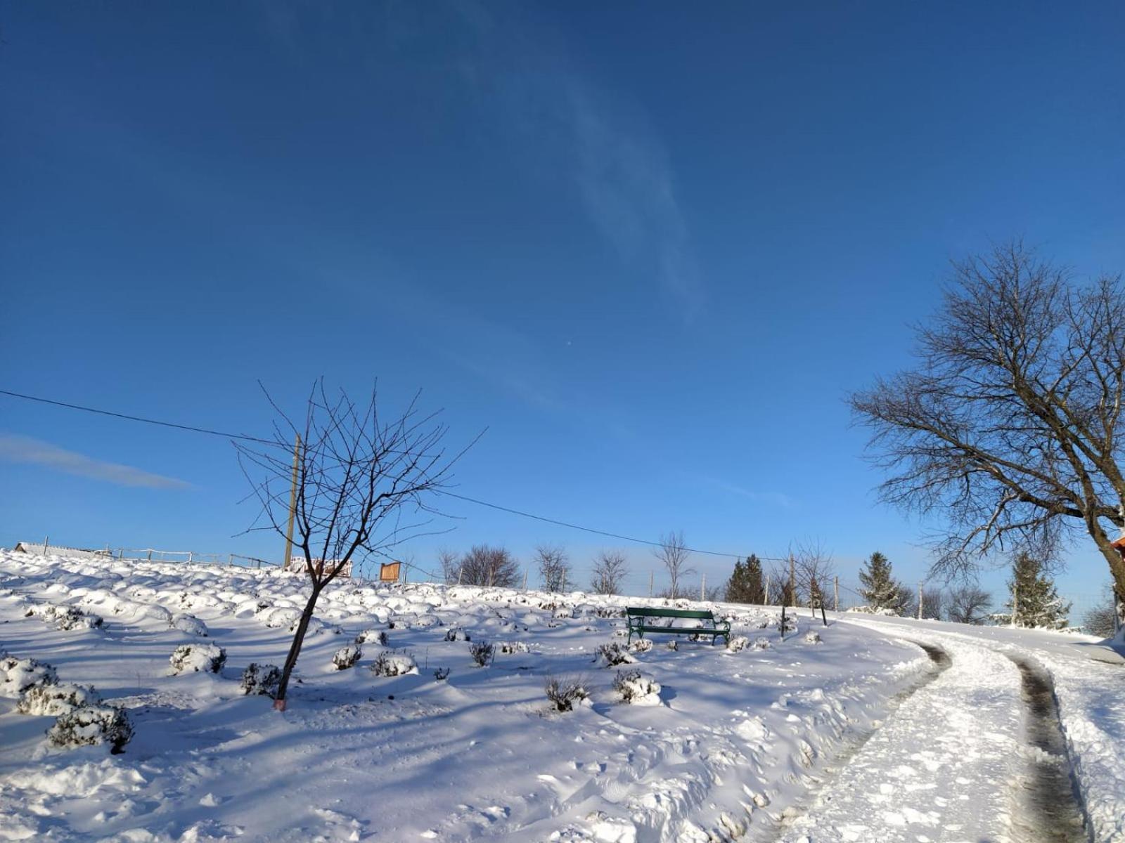Rose Hip Hill Farm view 5
