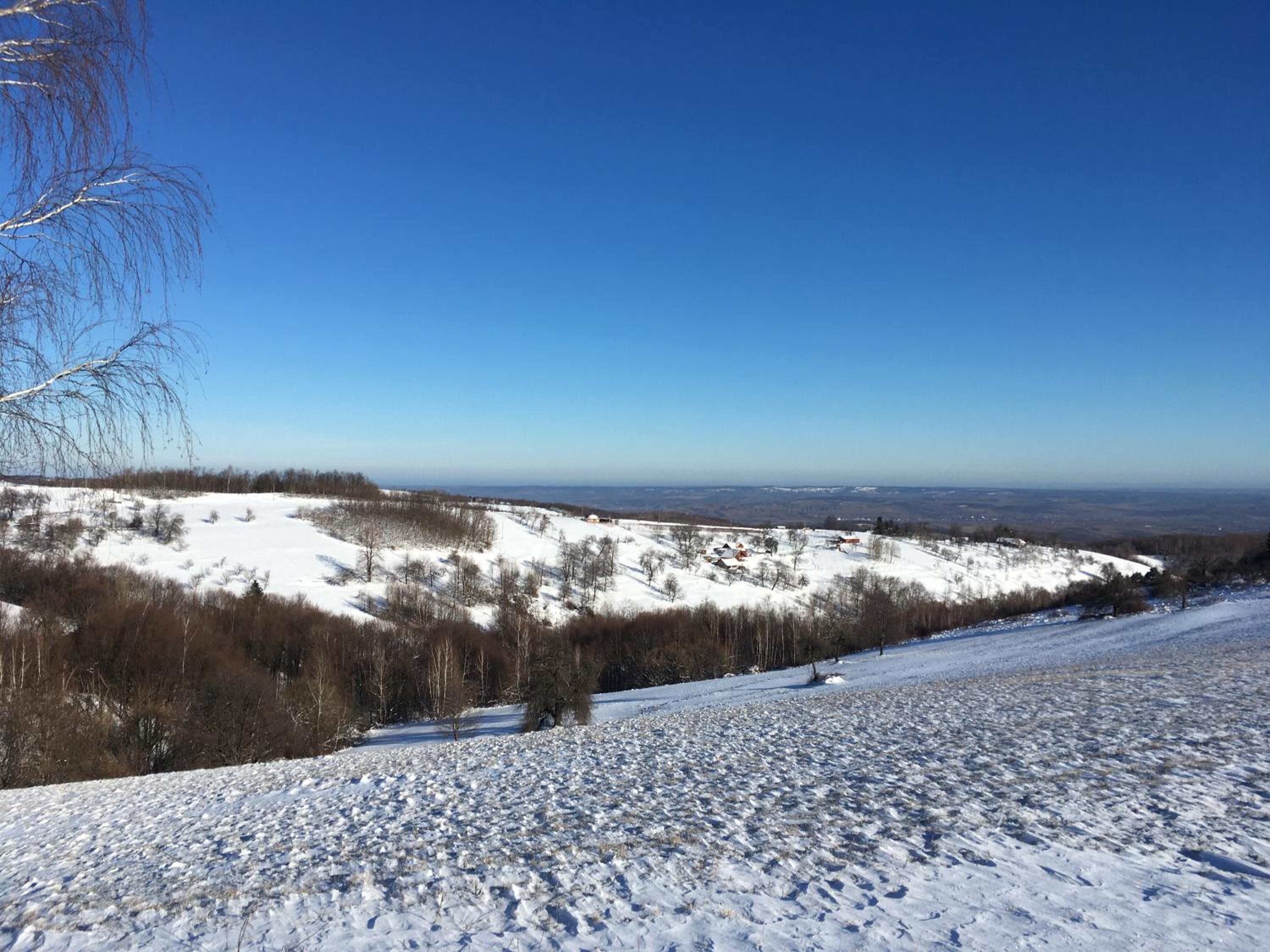 Rose Hip Hill Farm view 4
