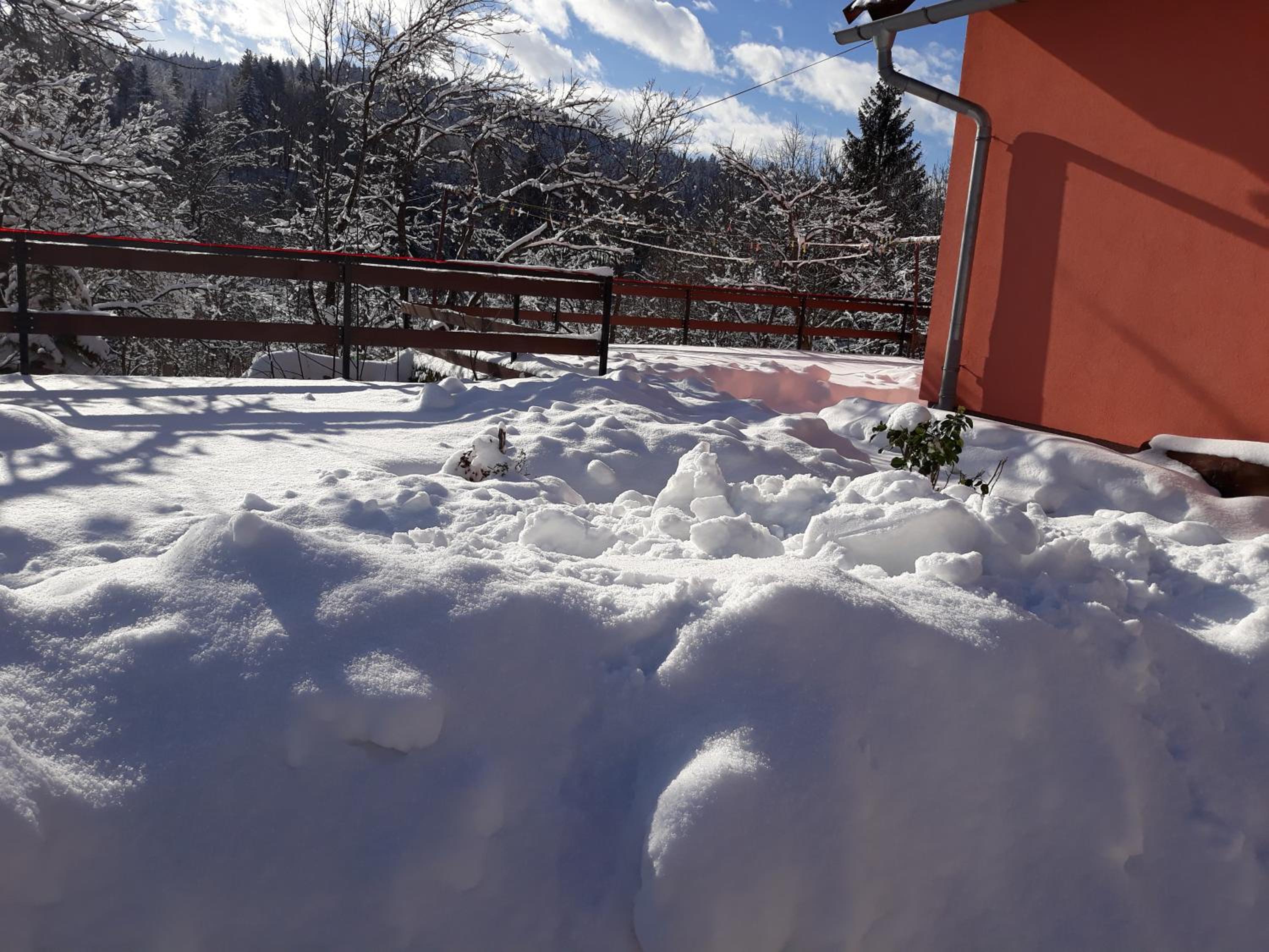 Biljevina view 4