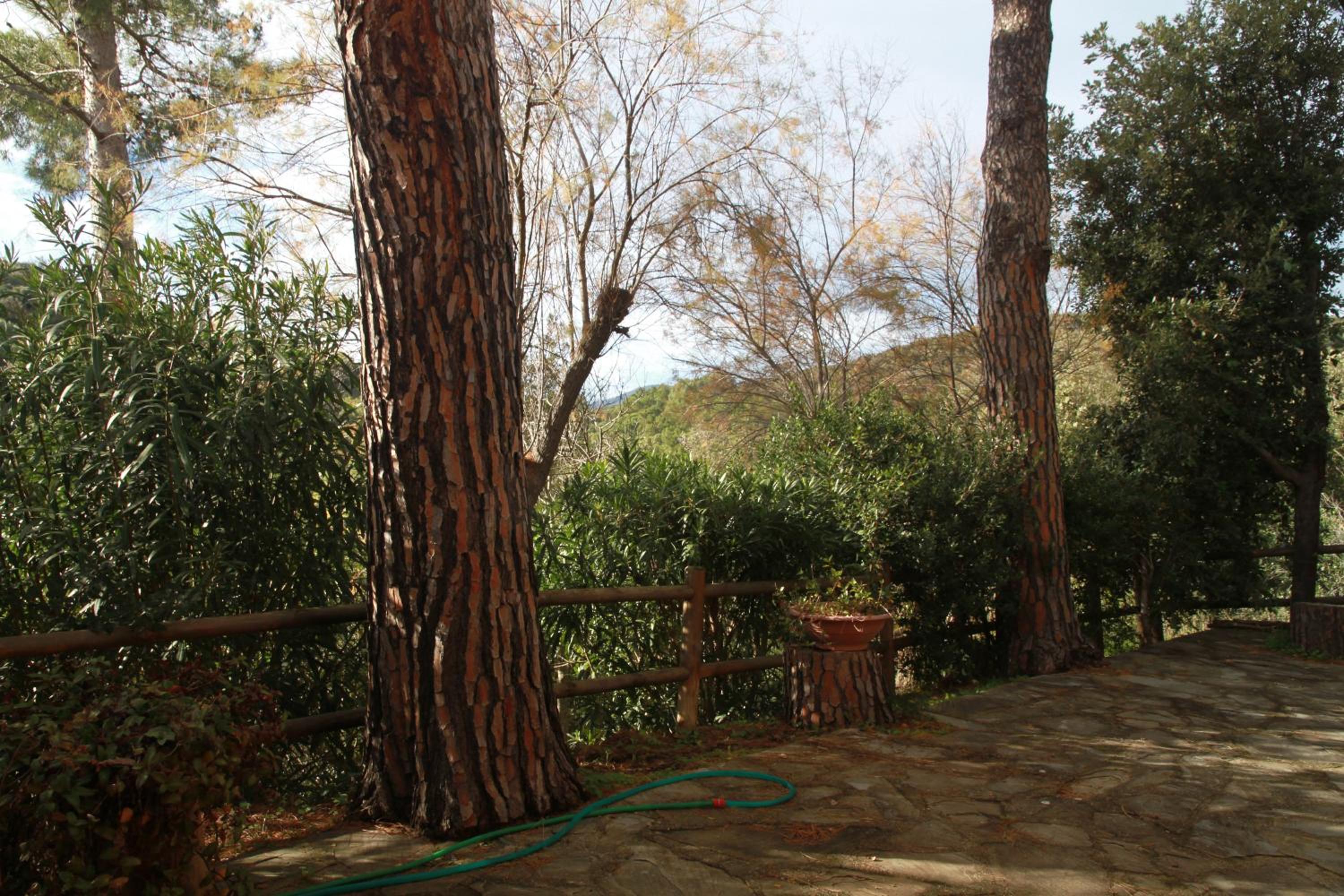 Villa Giulia al mare view 5