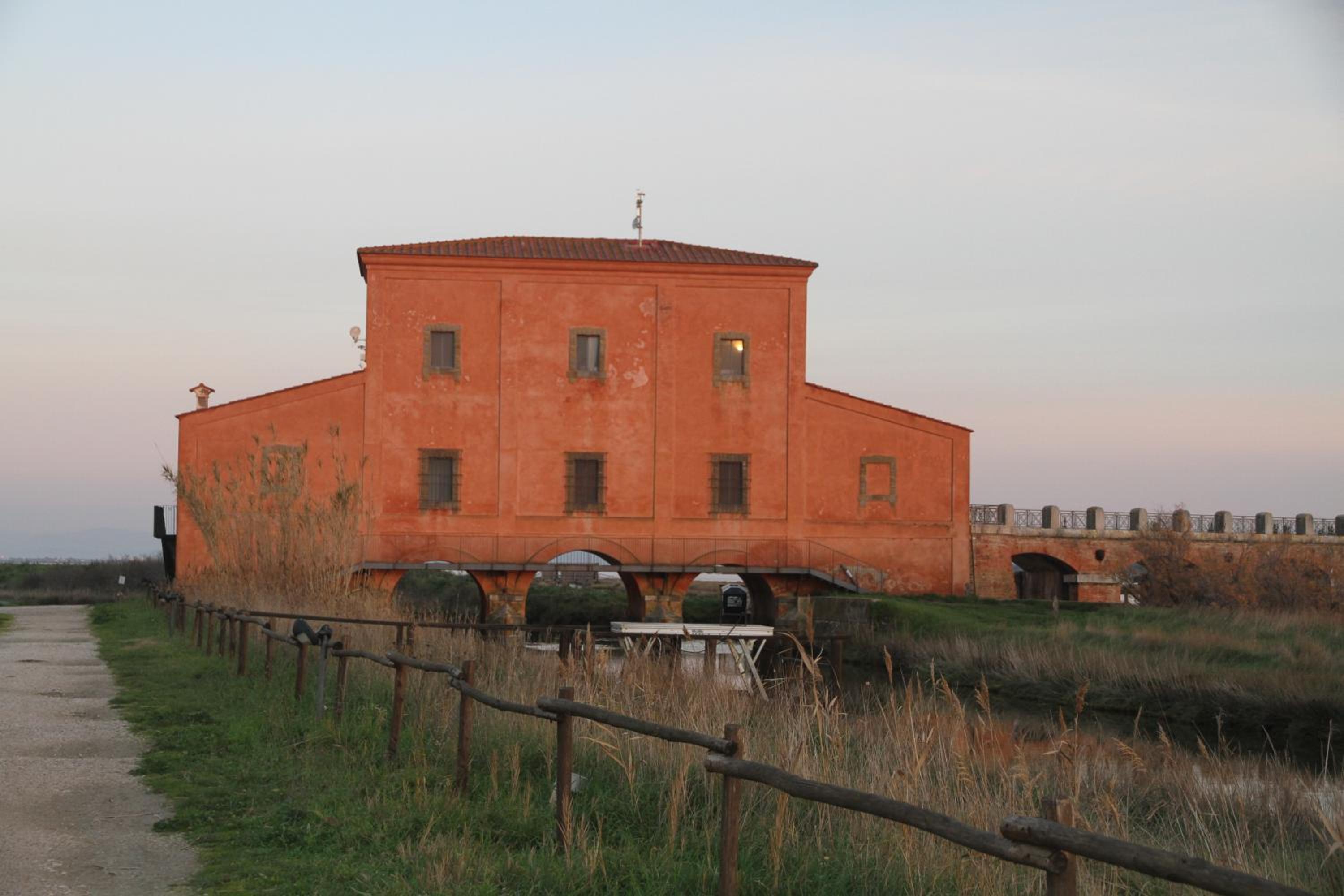 Photo 20