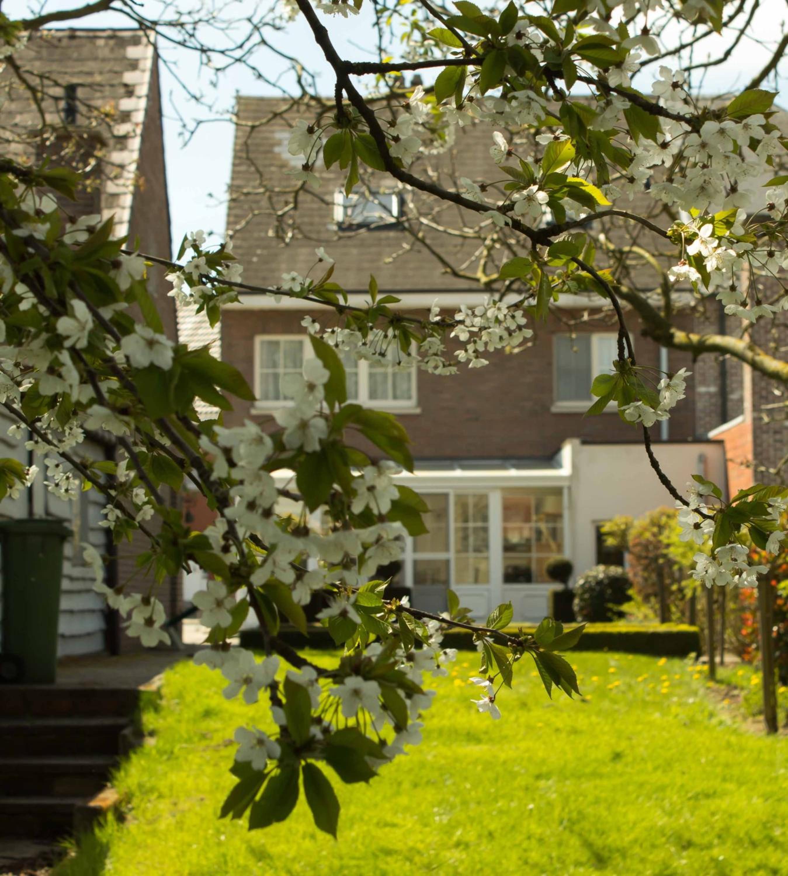 B&B Den Boomgaard Moorsel