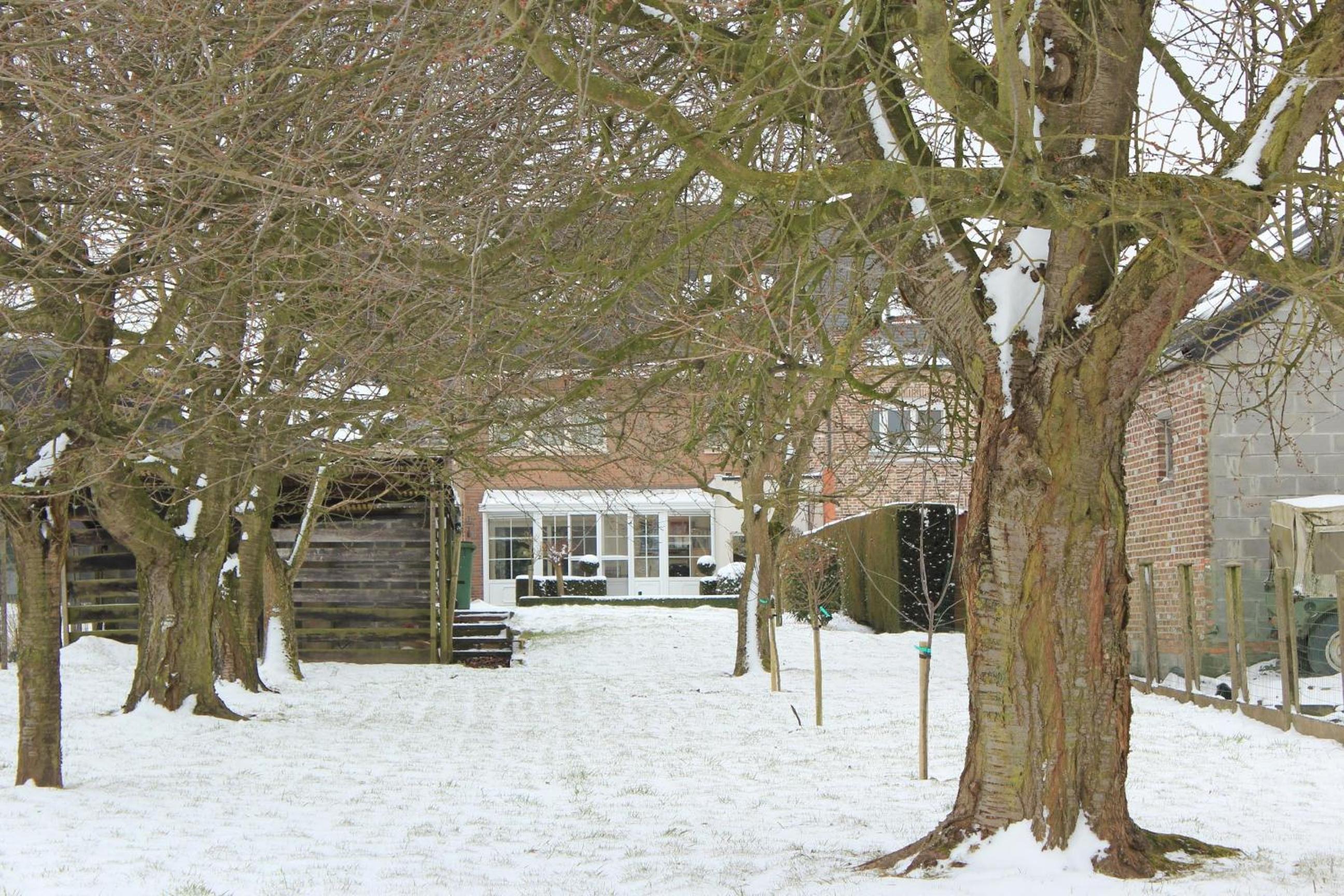 B&B Den Boomgaard Moorsel