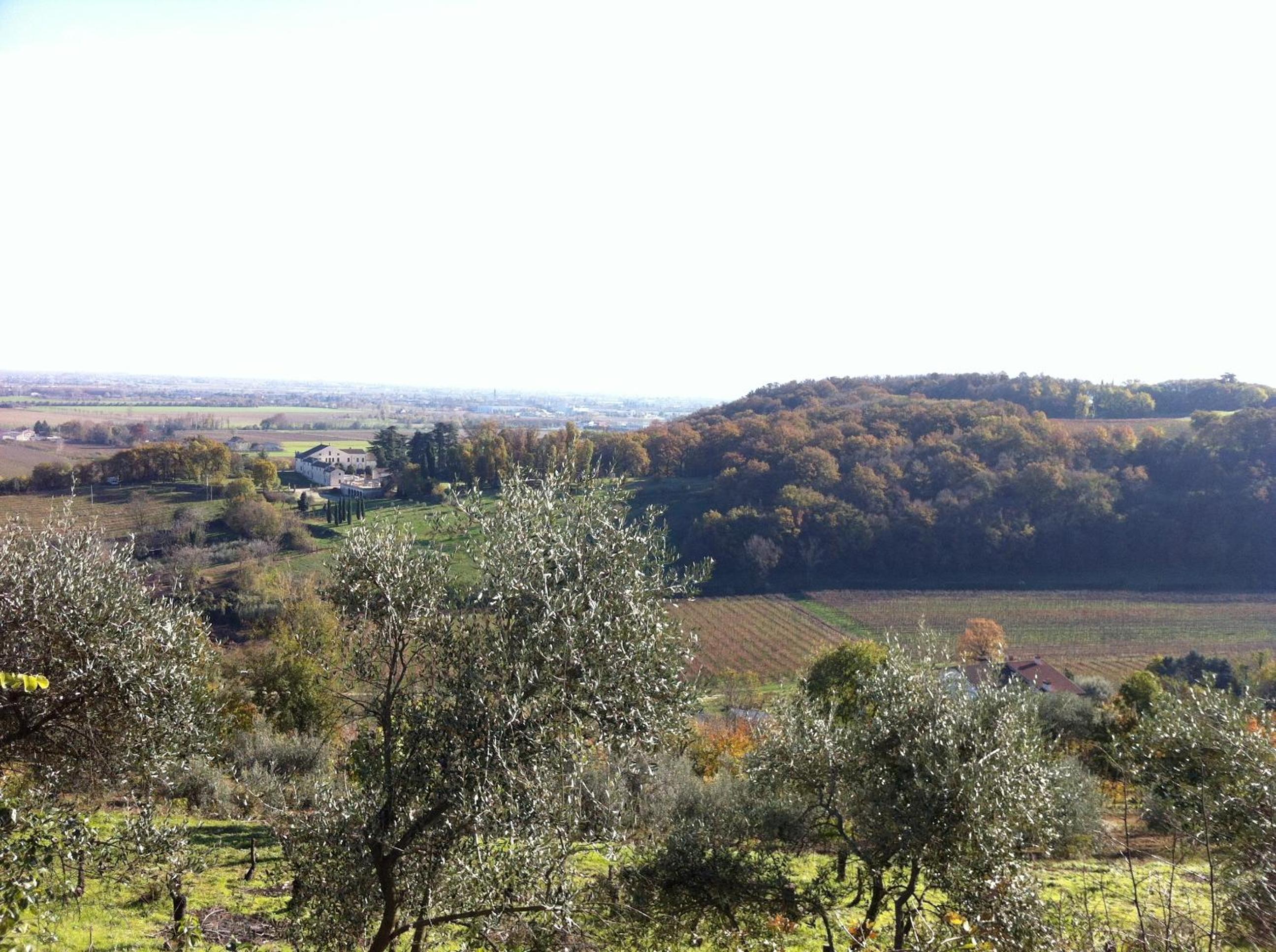 Photo 29