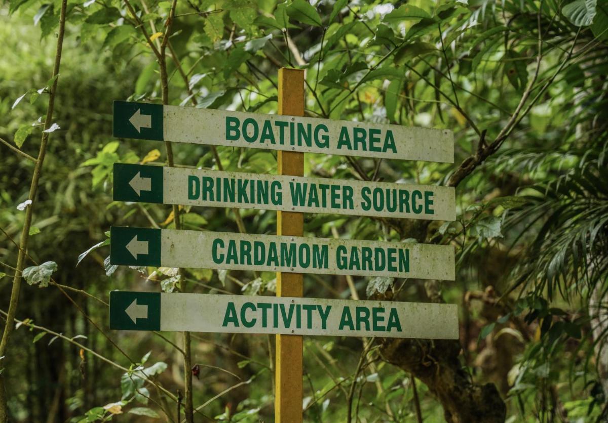 children's play area
