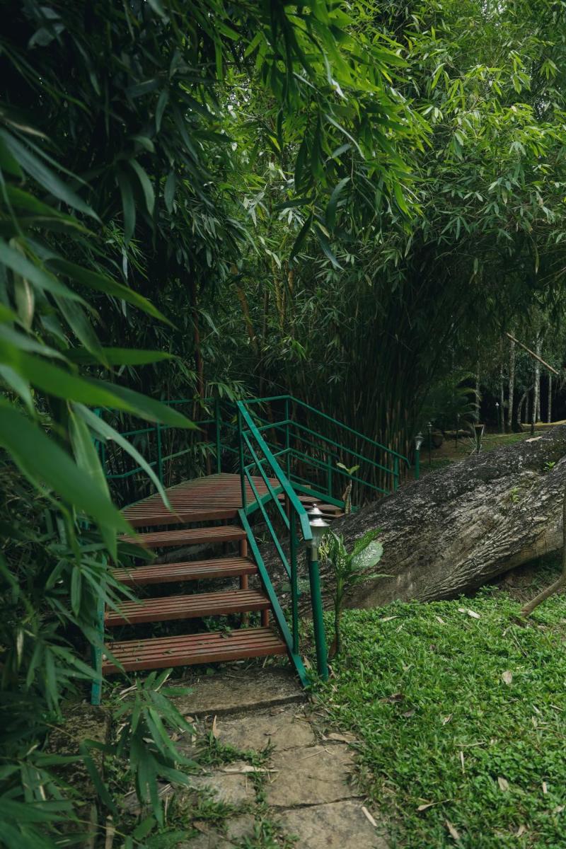 children's play area