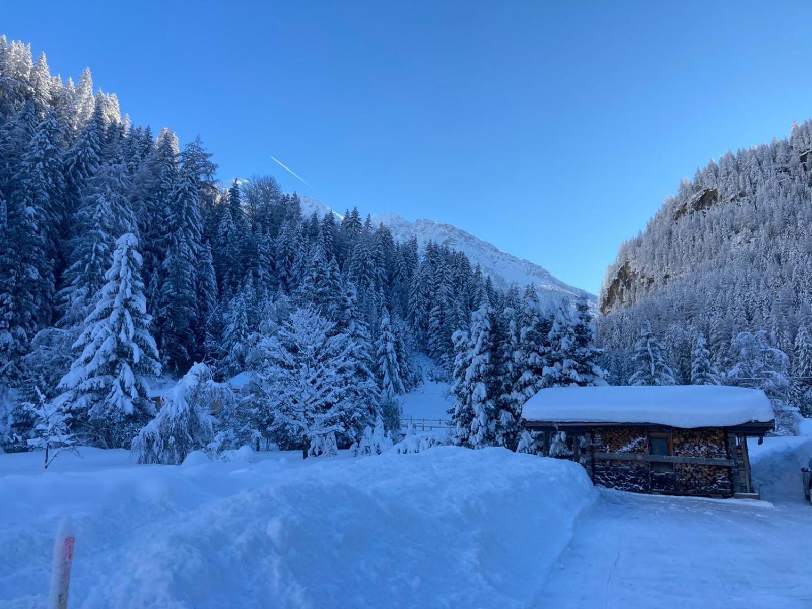 Haus Alpengruss view 4