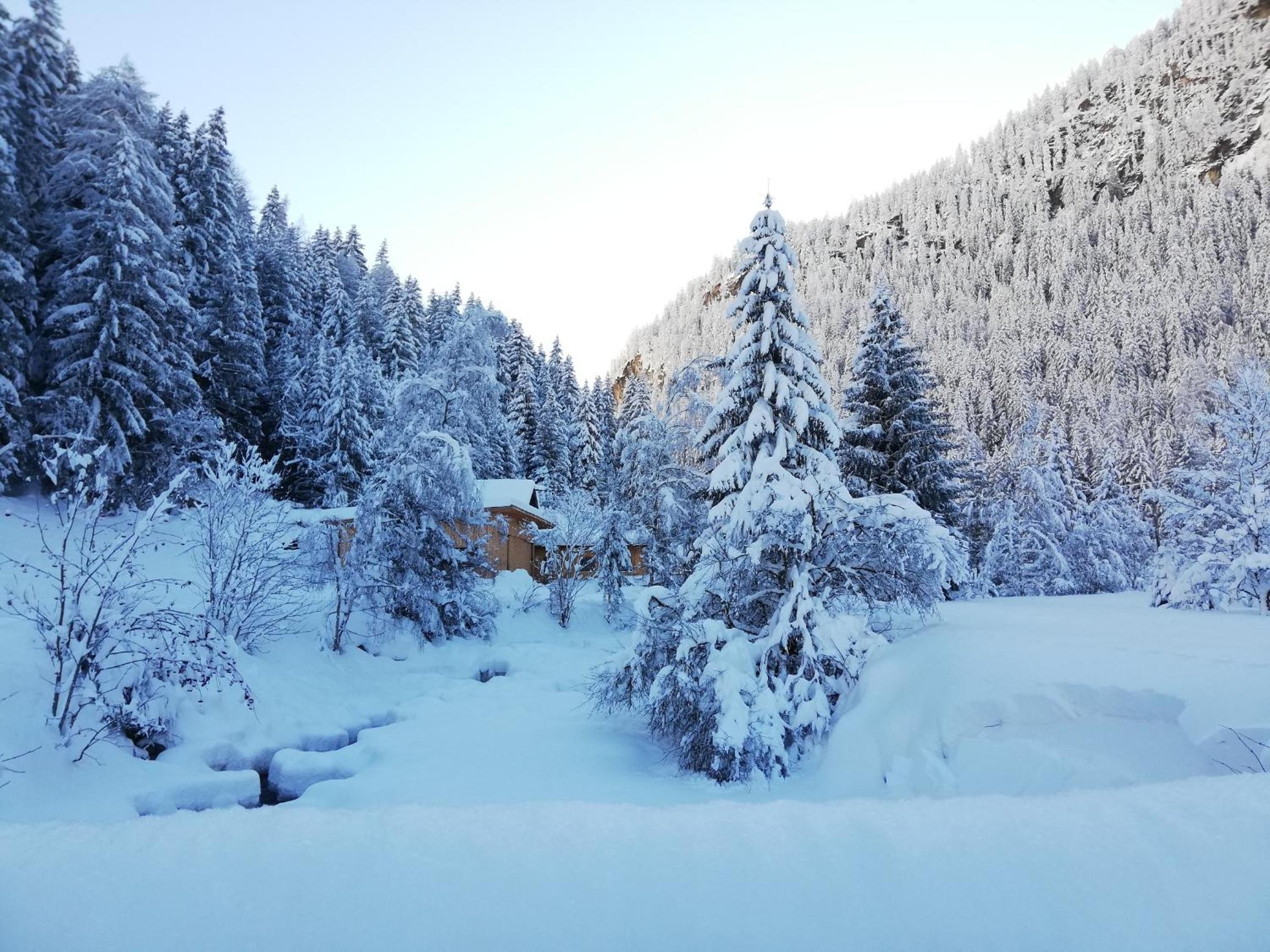 Haus Alpengruss view 3
