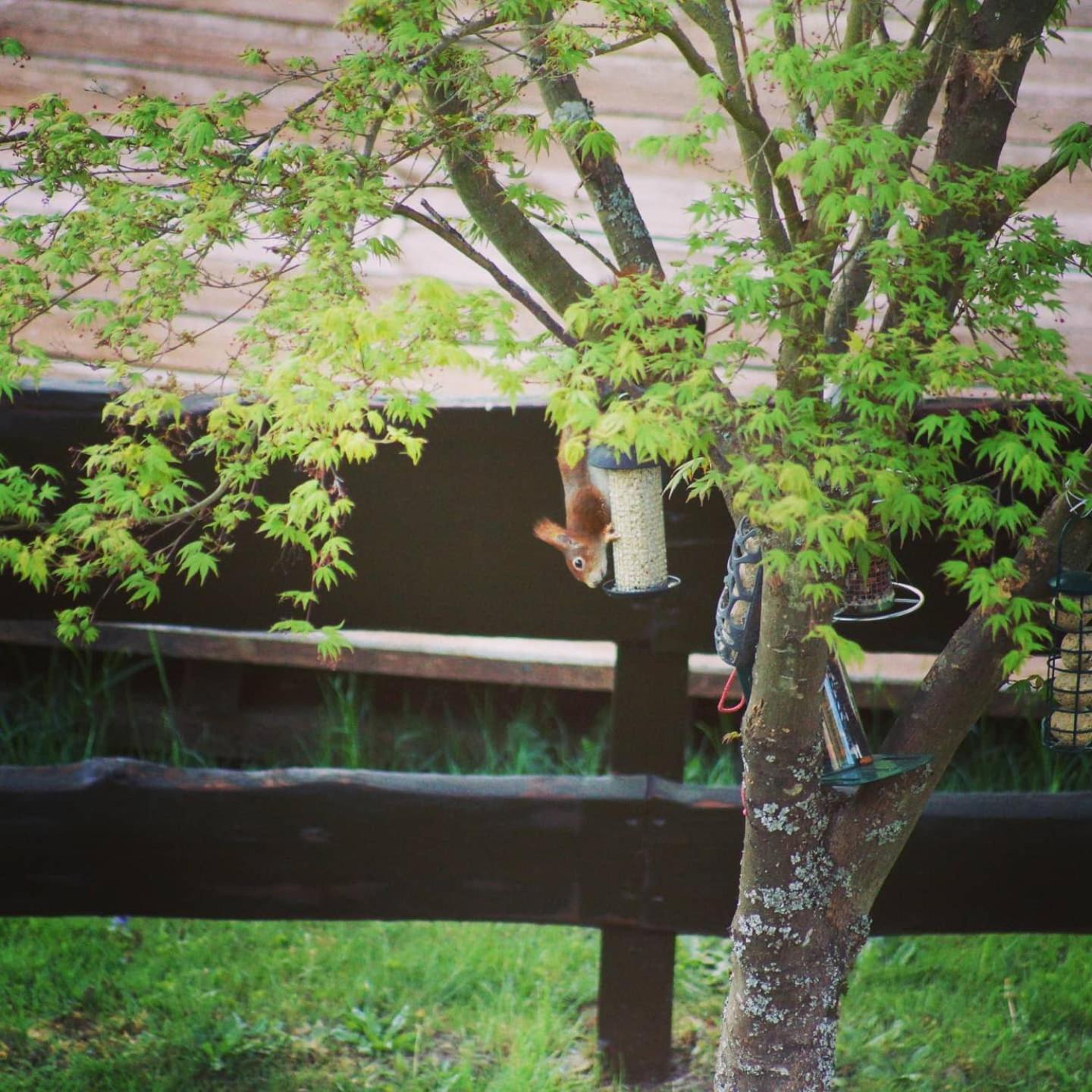 Photo 29