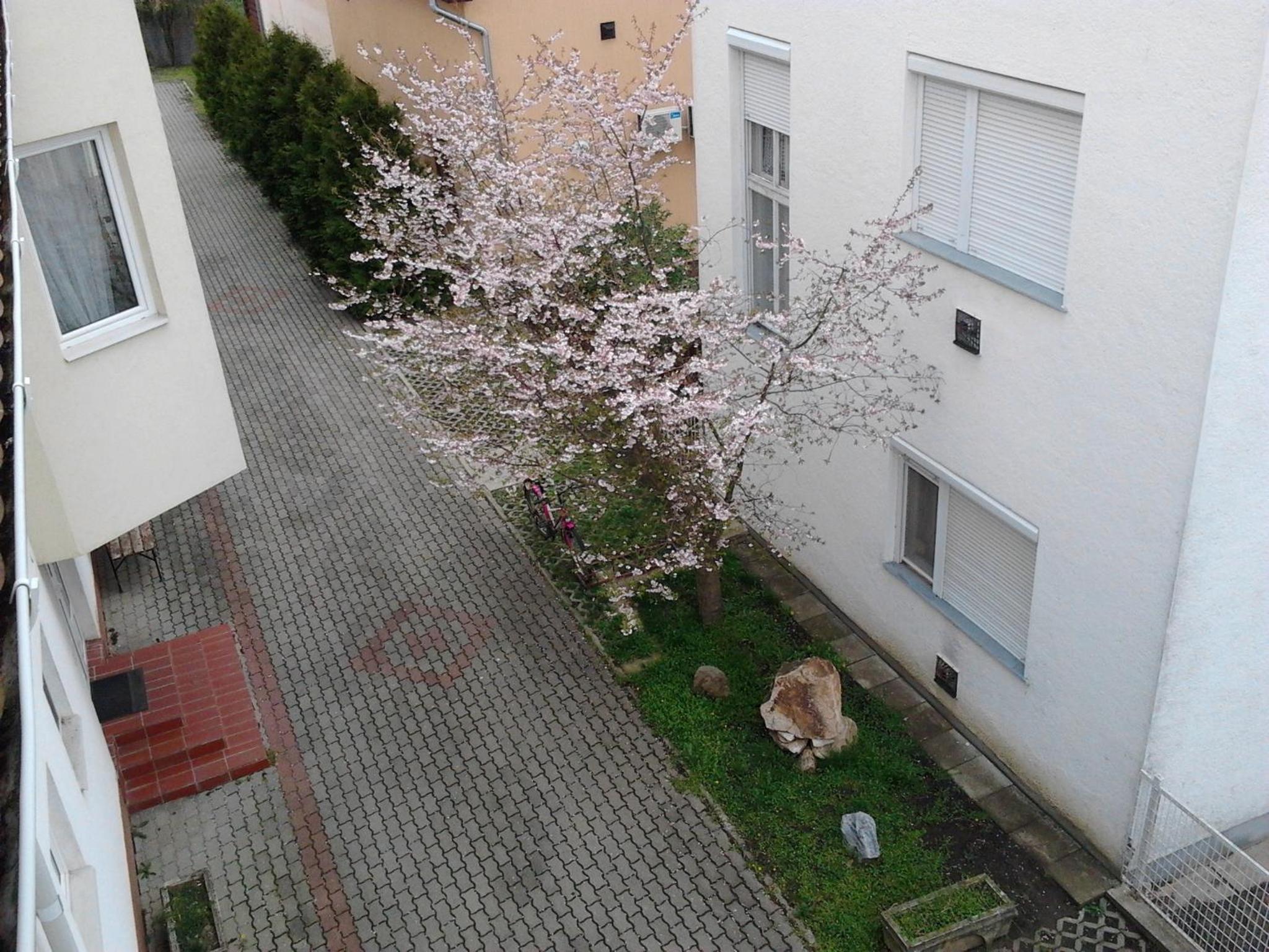 Photo 52