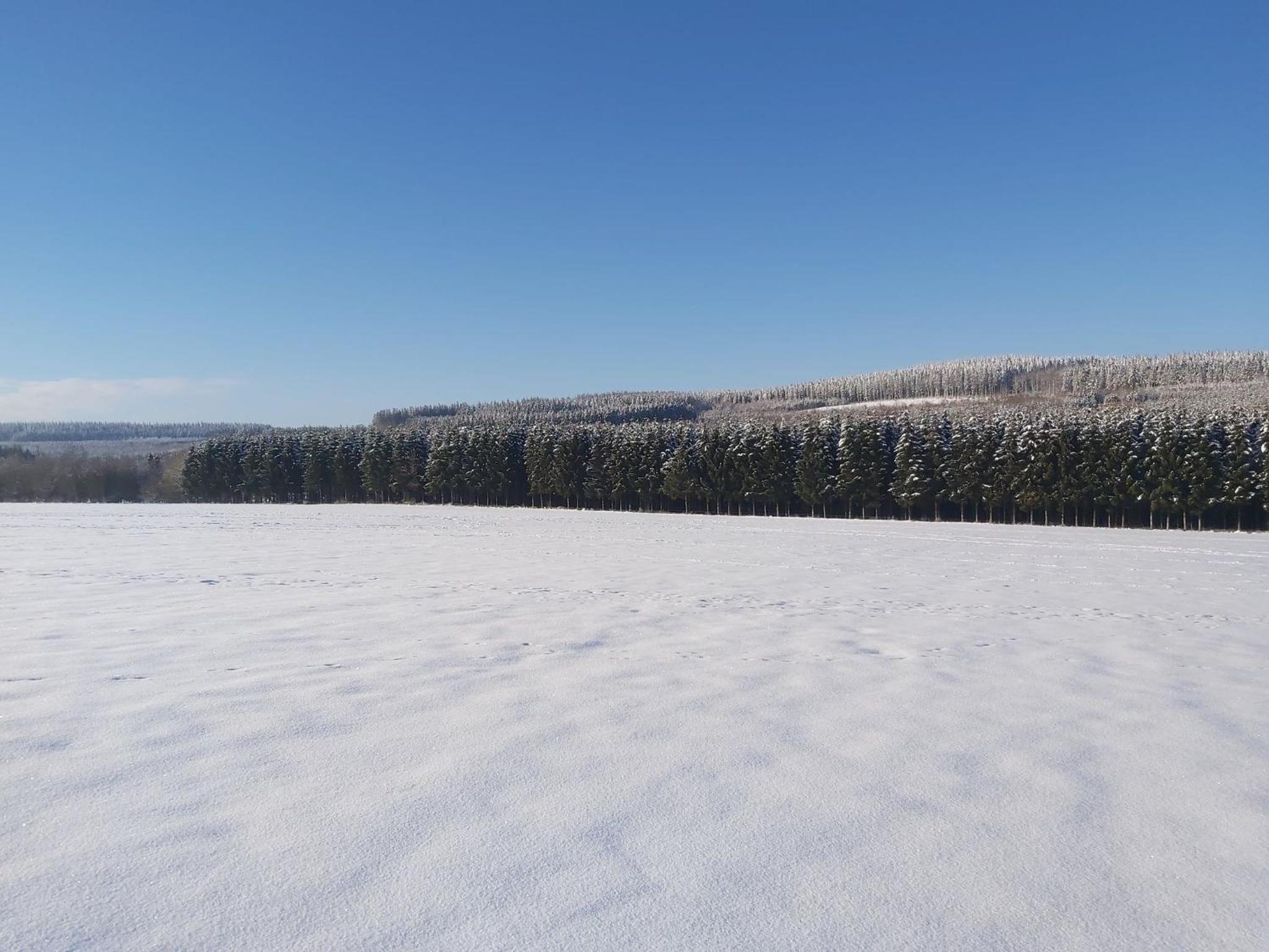 Le refuge Ardennais