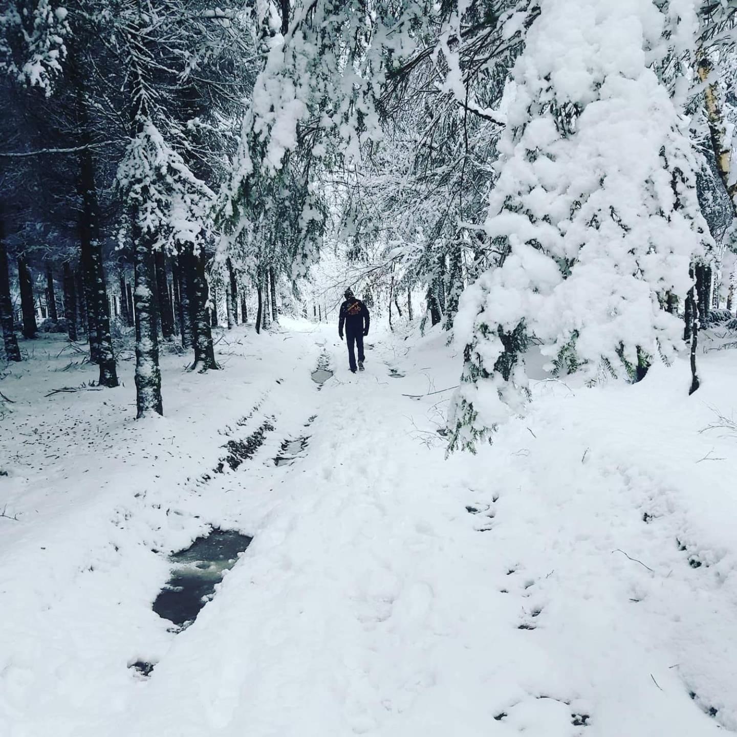 Le refuge Ardennais