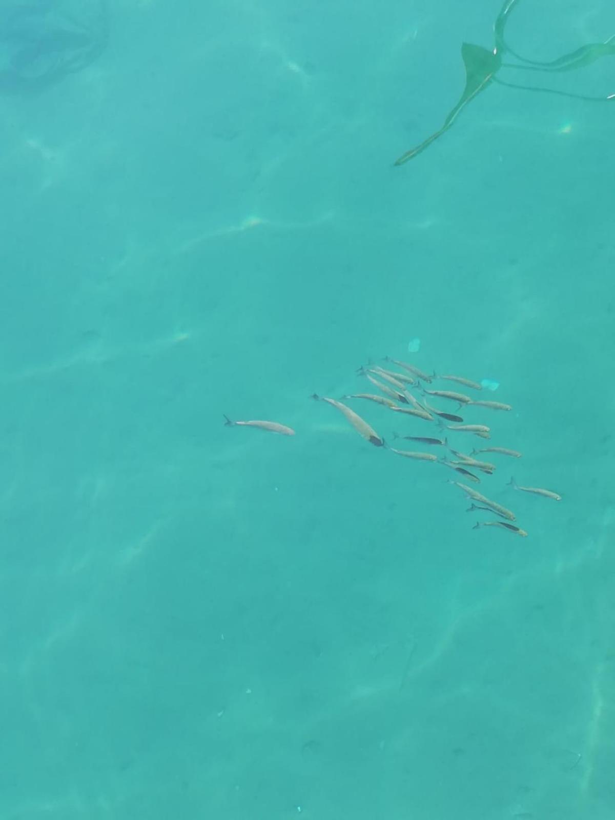 premium park apart otel - Image 210