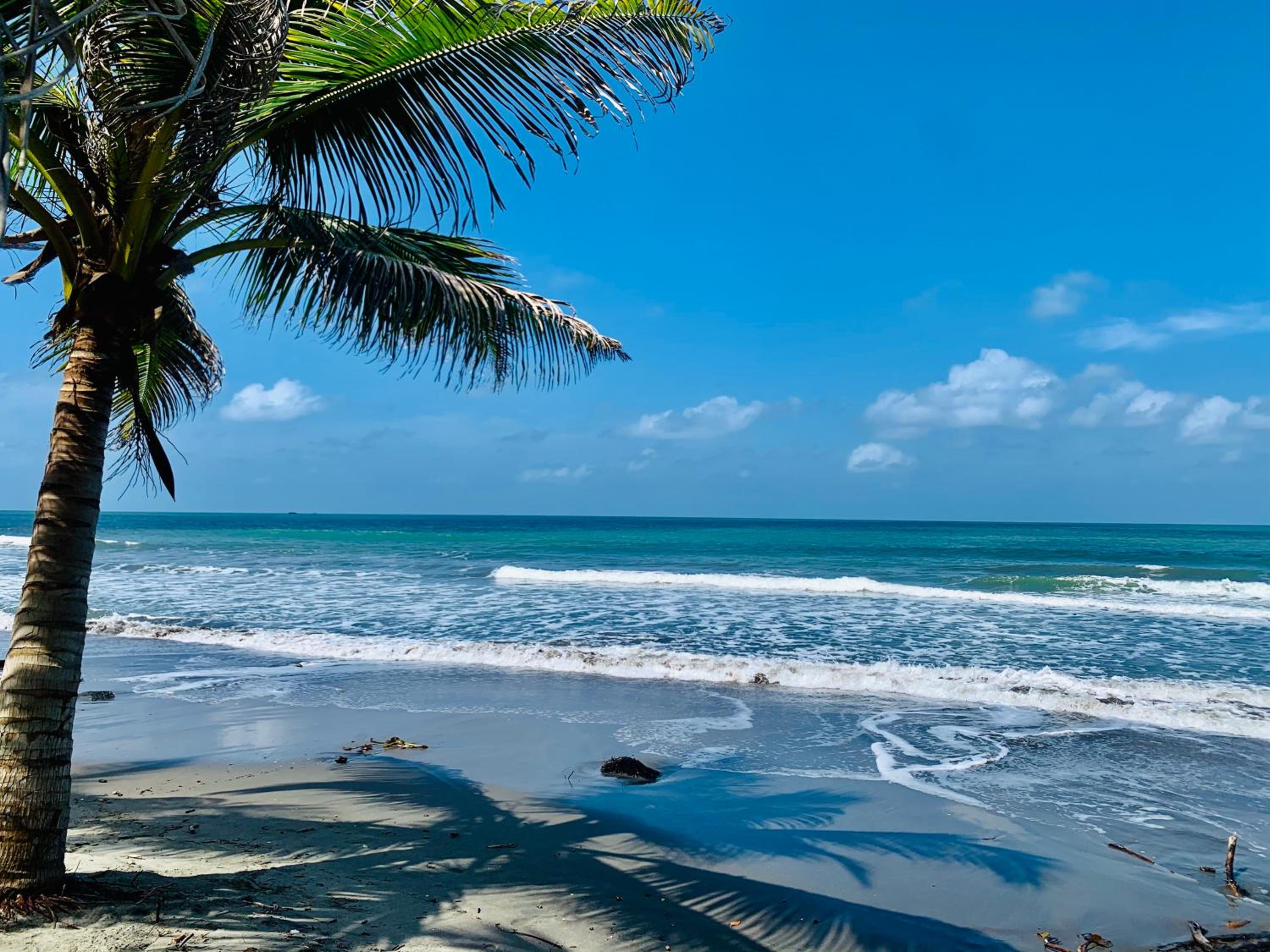 Playa Jaguar - Beach Club