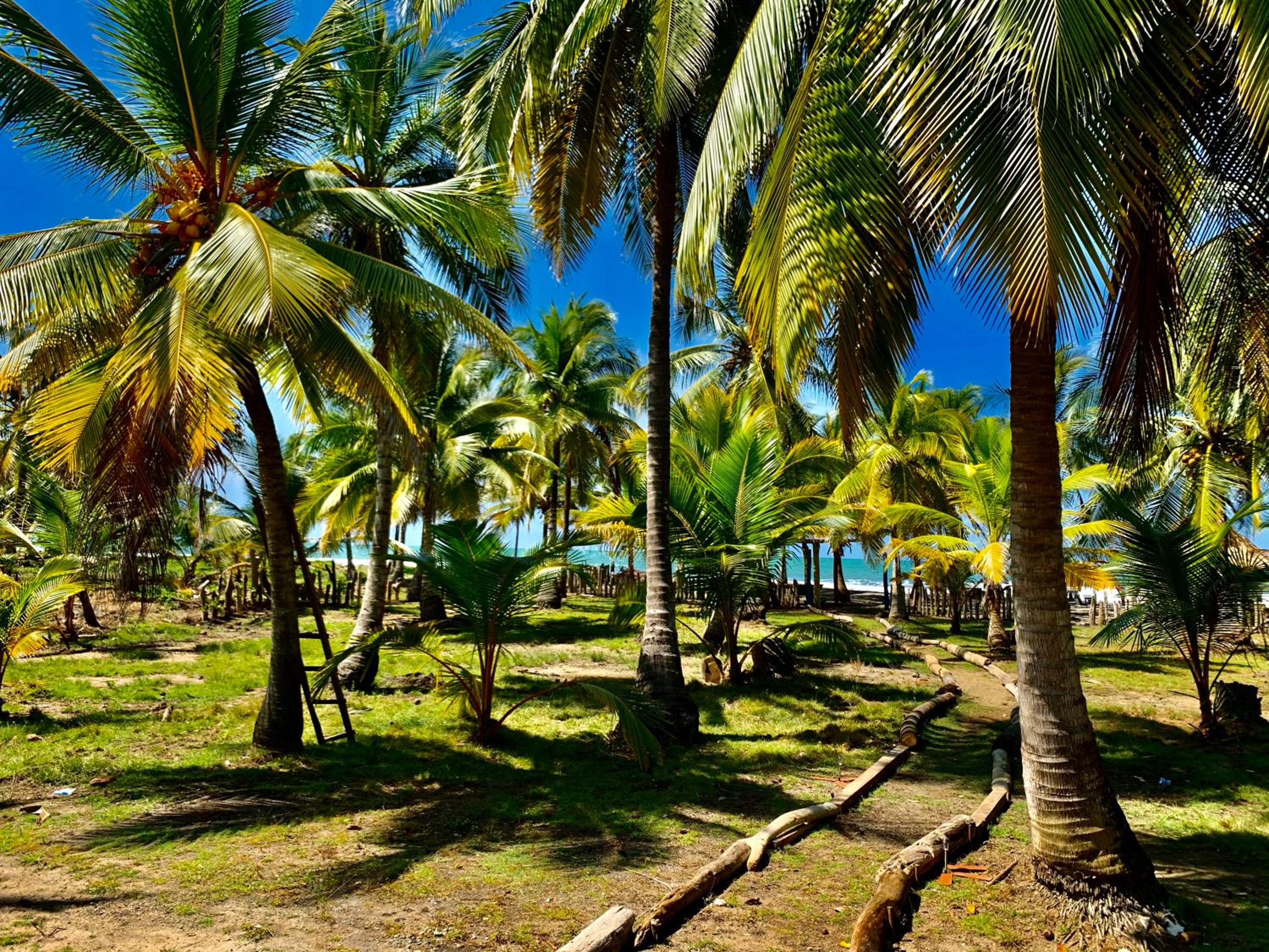 Playa Jaguar - Beach Club