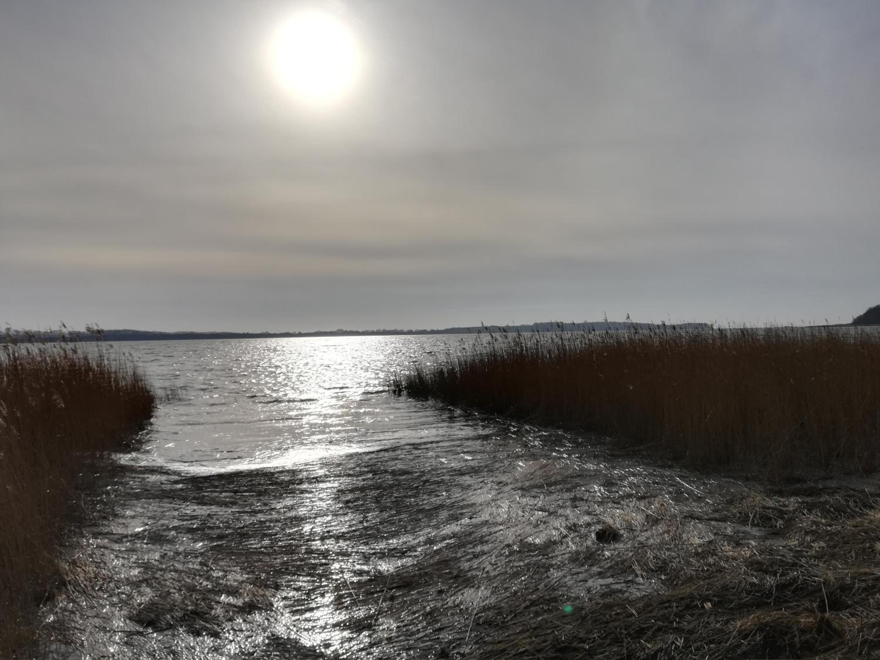 Sellin - Seedorf Am Neuensiener See Apartment 08 view 5