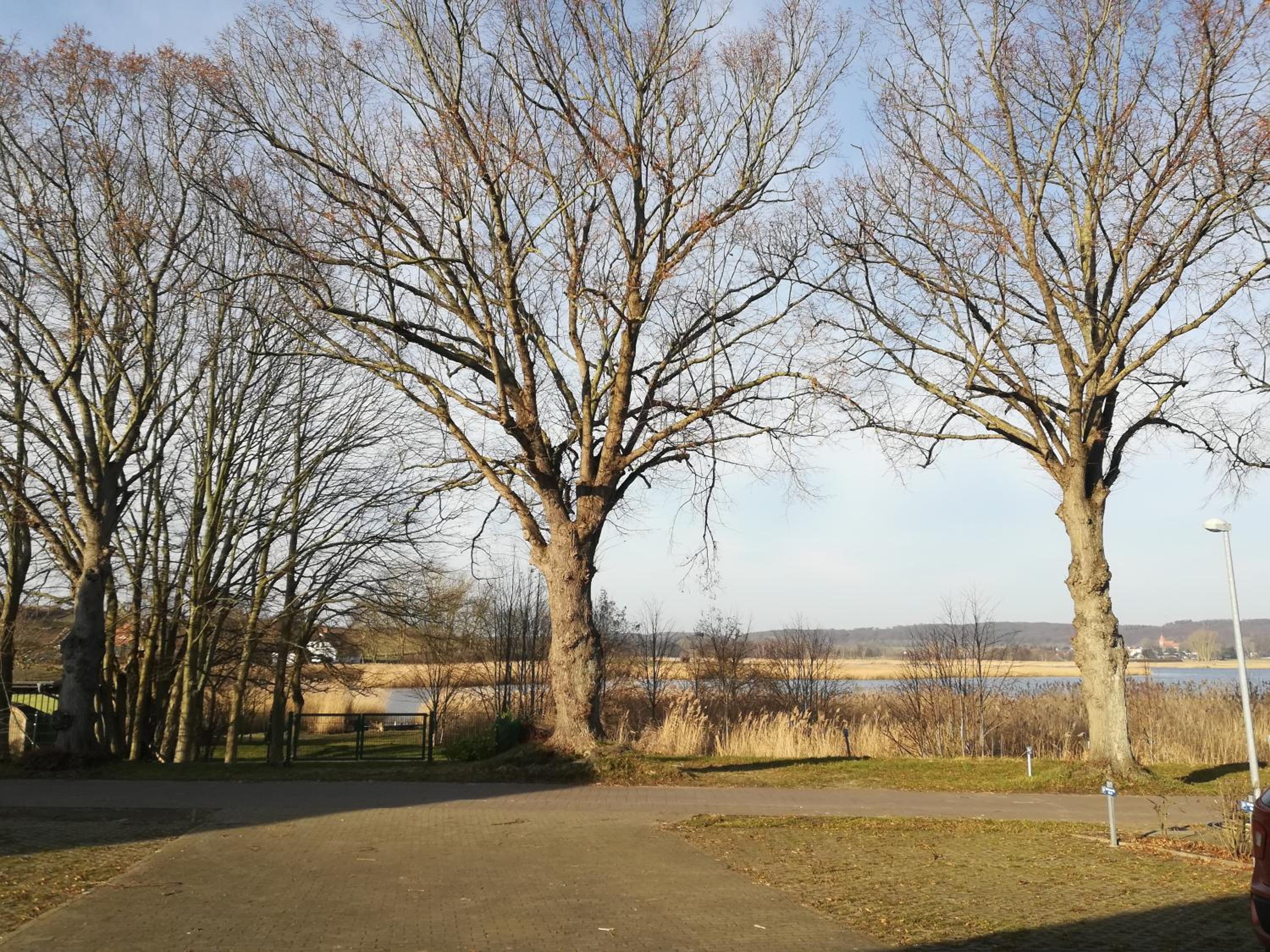 Sellin - Seedorf Am Neuensiener See Apartment 08 view 4