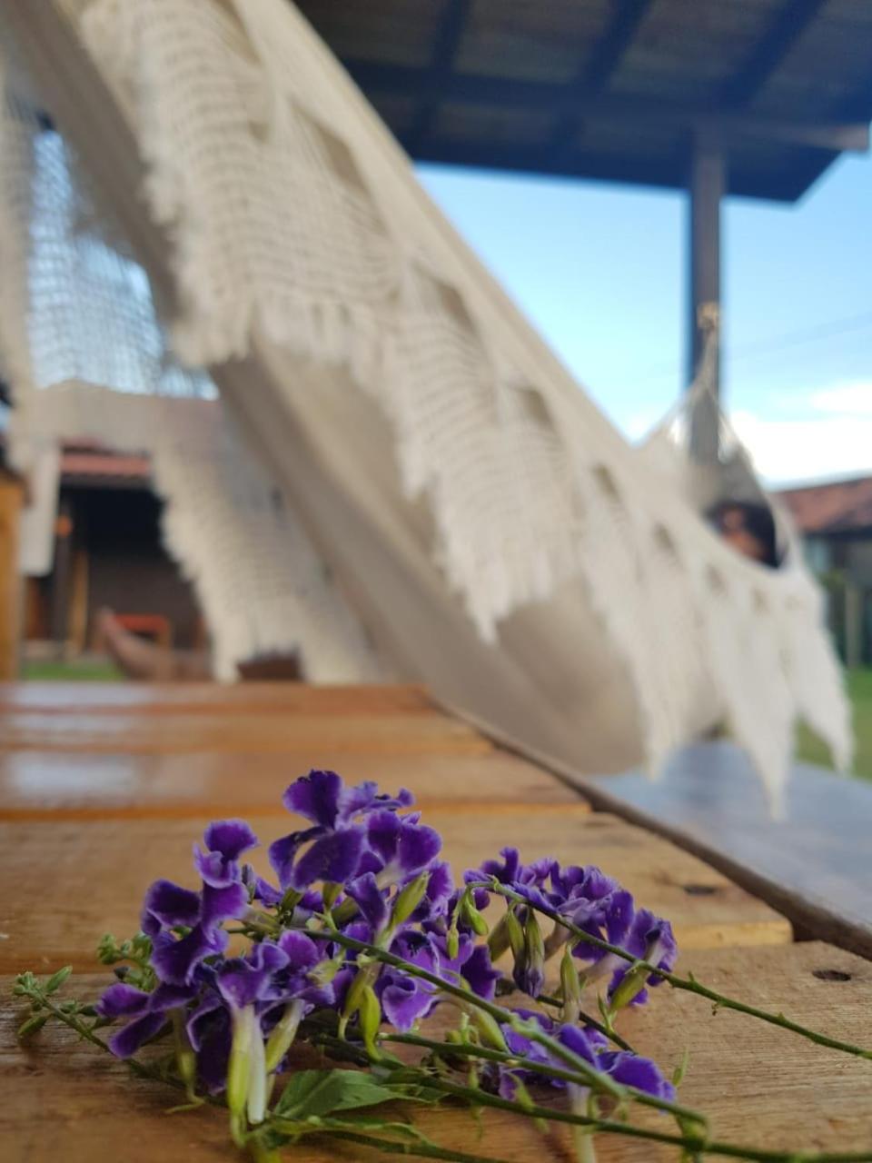 Cantinho do paraíso
