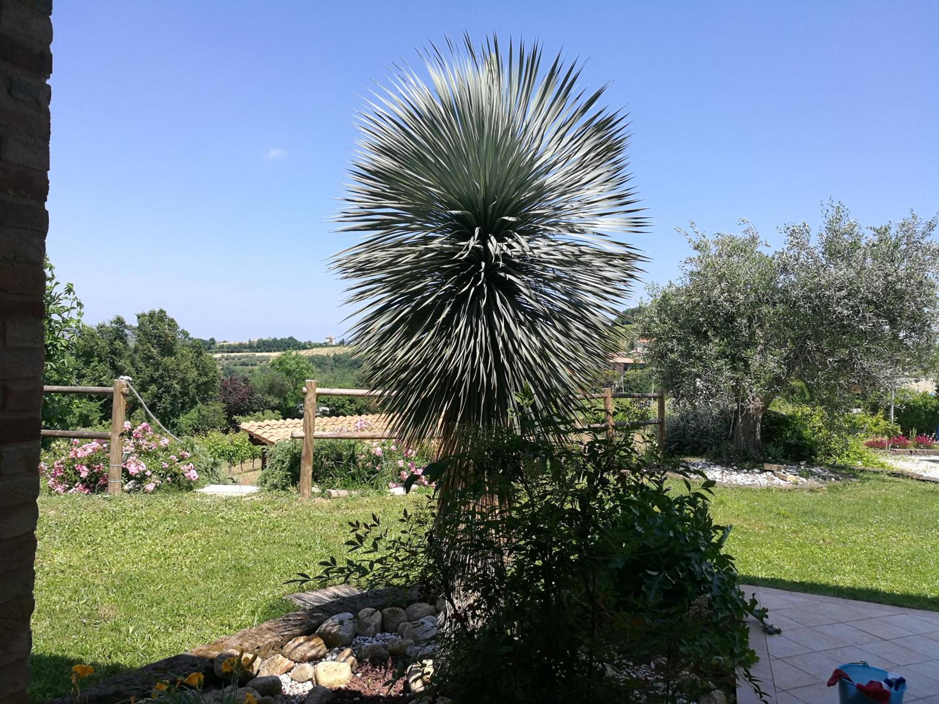 Agriturismo San Michele