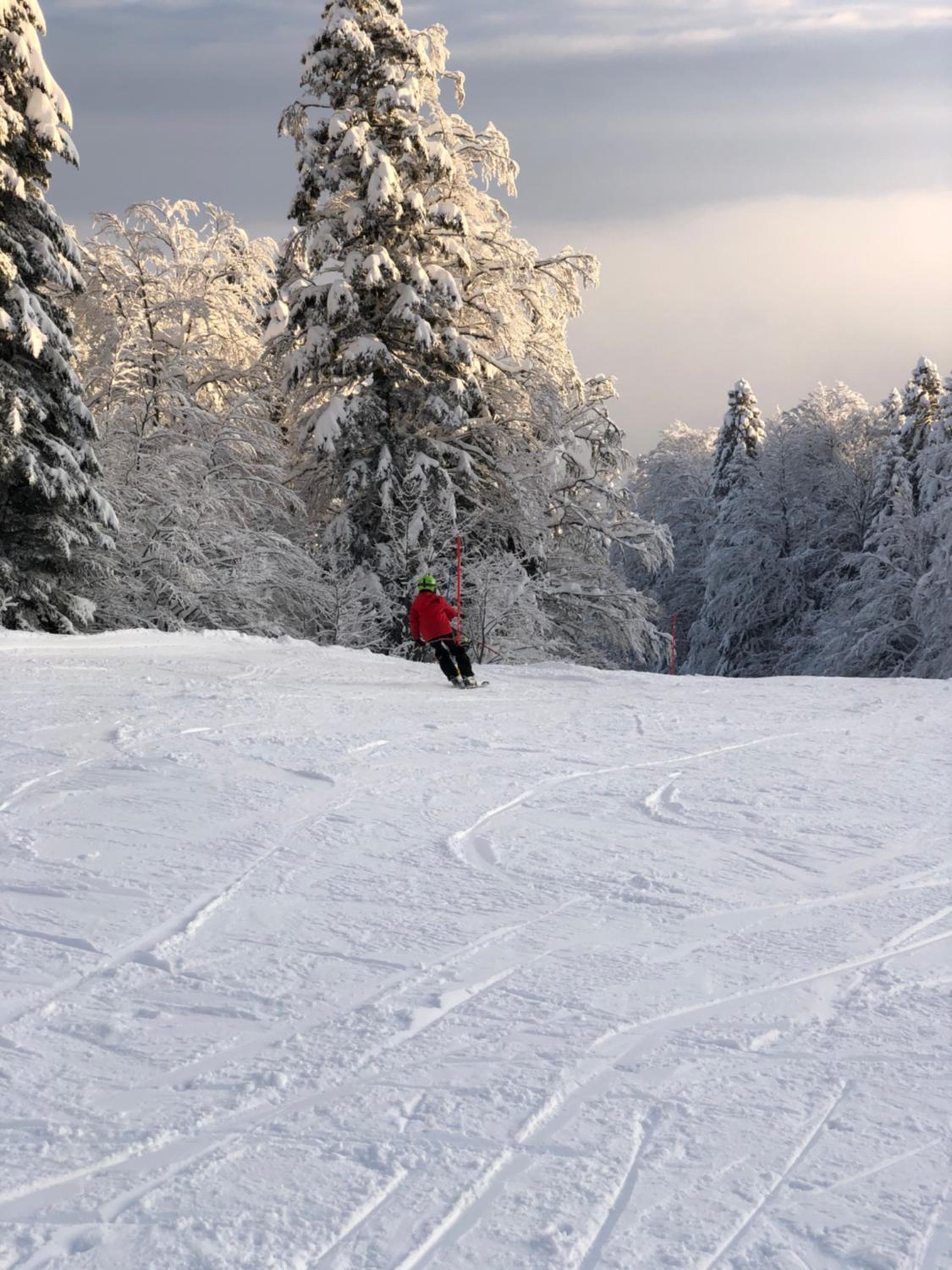 Photo 26