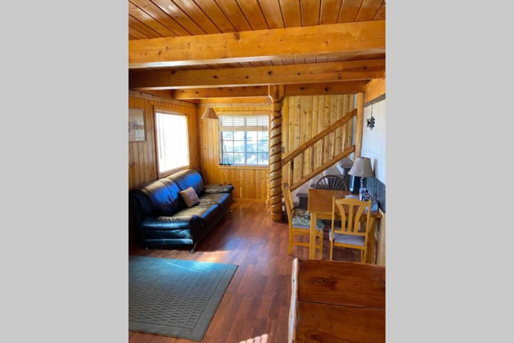 Cabin by the pond (The Funk Starts Here) view 3